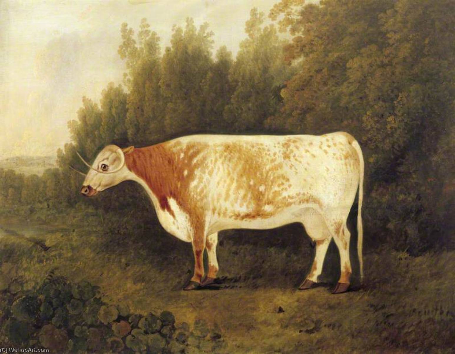 Wikioo.org - The Encyclopedia of Fine Arts - Painting, Artwork by John Boultbee - 'Spotted Nancy' A Cow