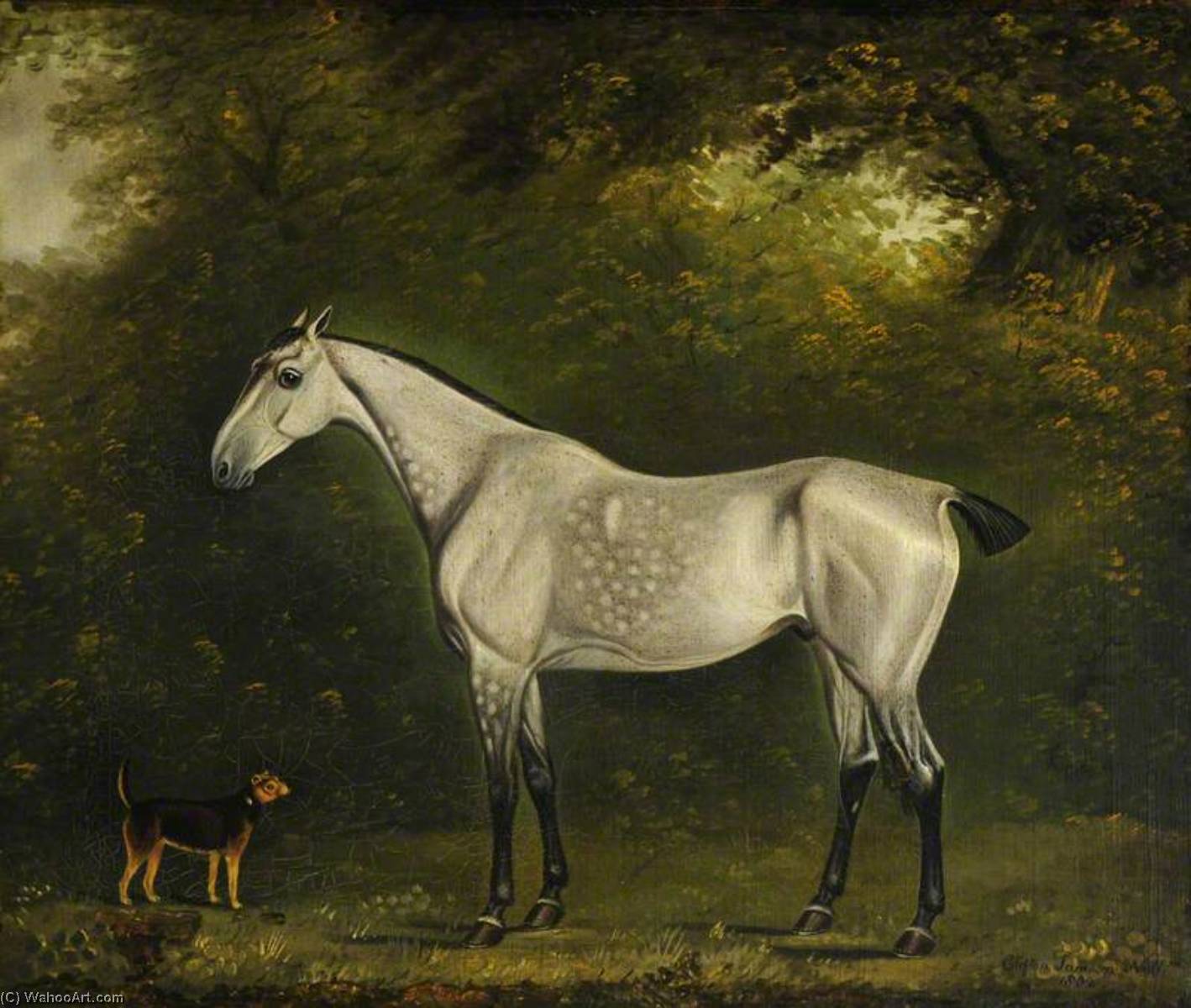 Wikioo.org - The Encyclopedia of Fine Arts - Painting, Artwork by Clifton Tomson - A Dappled Grey Hunter with a Terrier amongst the Trees