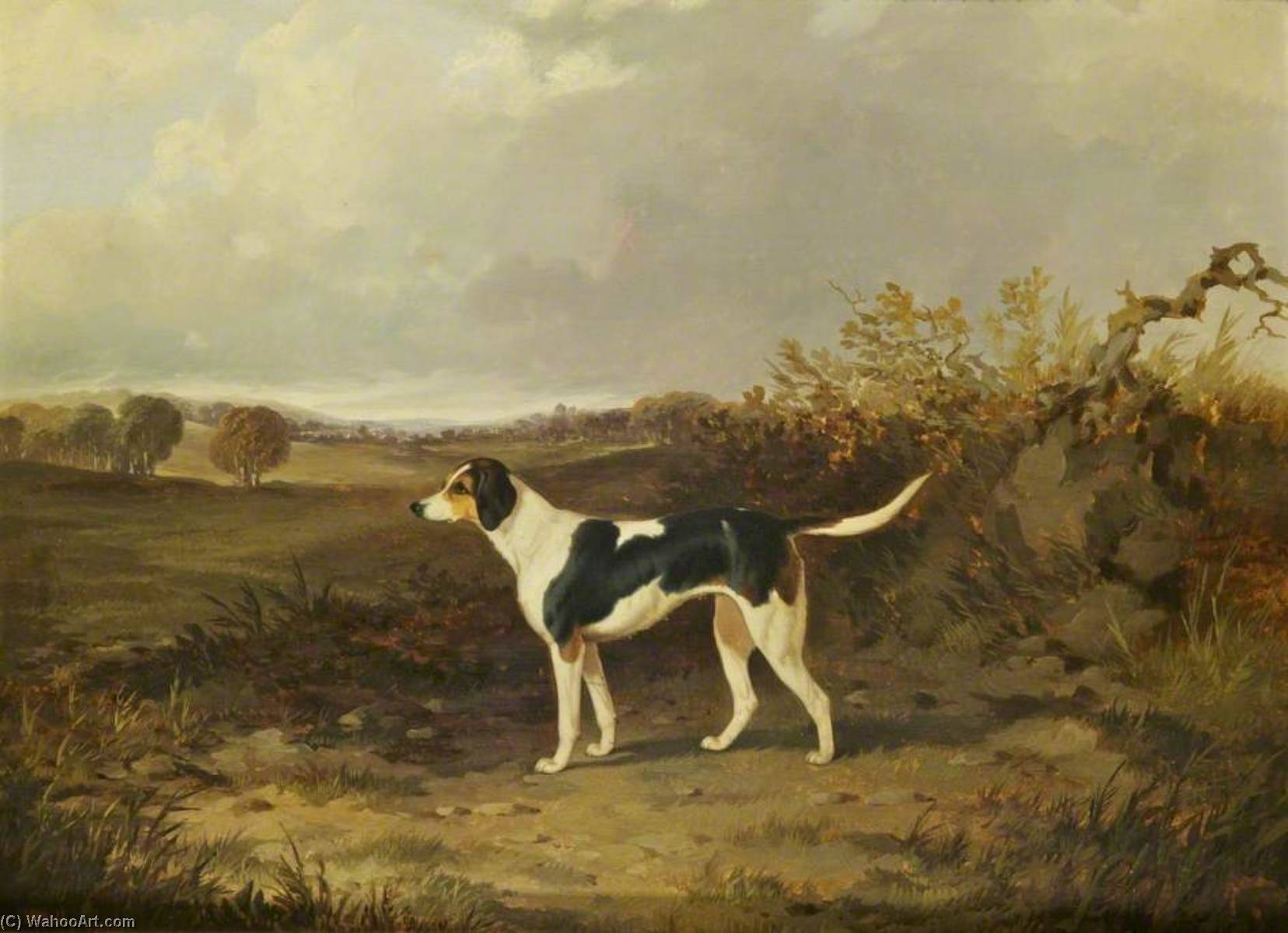 Wikioo.org - The Encyclopedia of Fine Arts - Painting, Artwork by John Dalby - Foxhound in a Landscape (facing to the left)