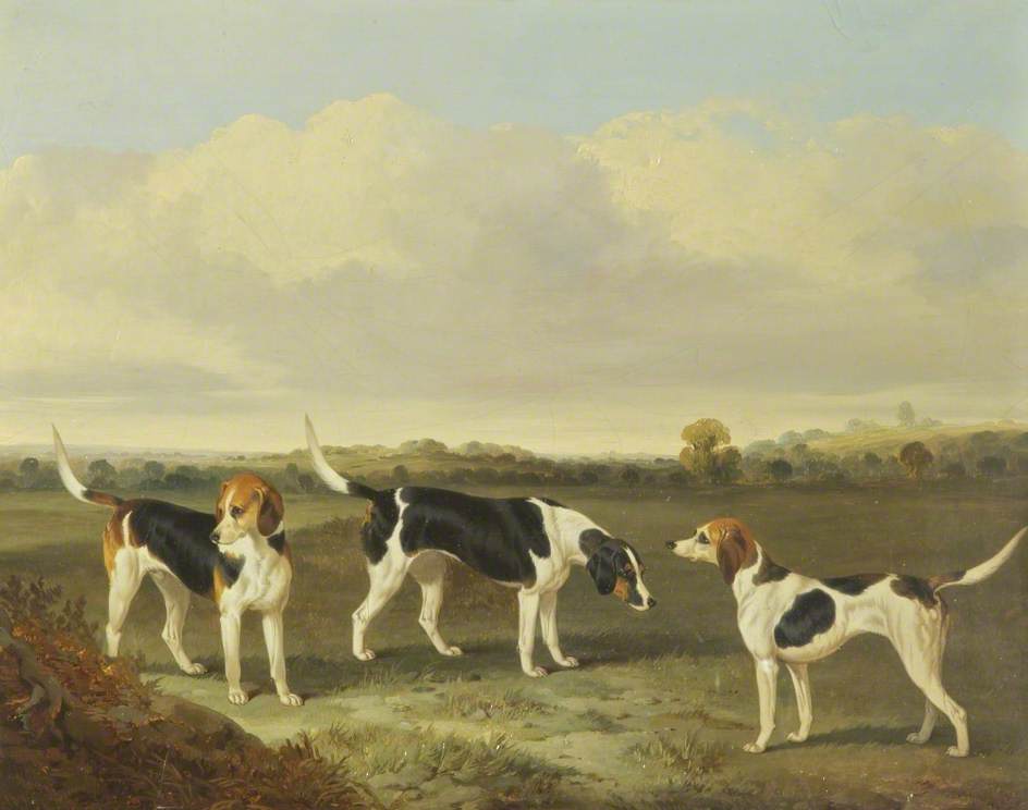 Wikioo.org - The Encyclopedia of Fine Arts - Painting, Artwork by John Dalby - Three Foxhounds in a Landscape