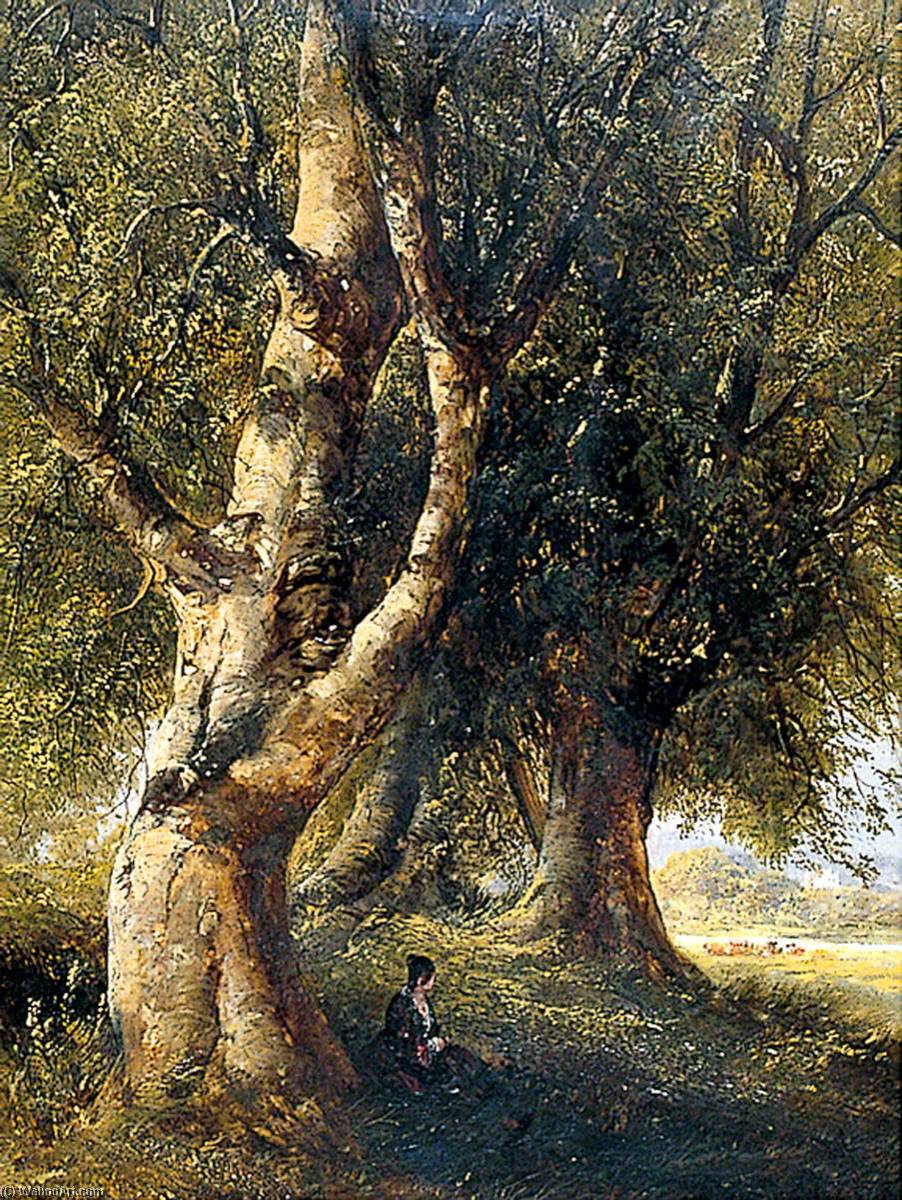 Wikioo.org - The Encyclopedia of Fine Arts - Painting, Artwork by Alfred Priest - Beech Trees, Grazing Cattle to the Right