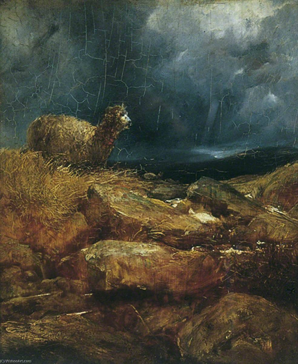 Wikioo.org - The Encyclopedia of Fine Arts - Painting, Artwork by John N Rhodes - The Lost Sheep