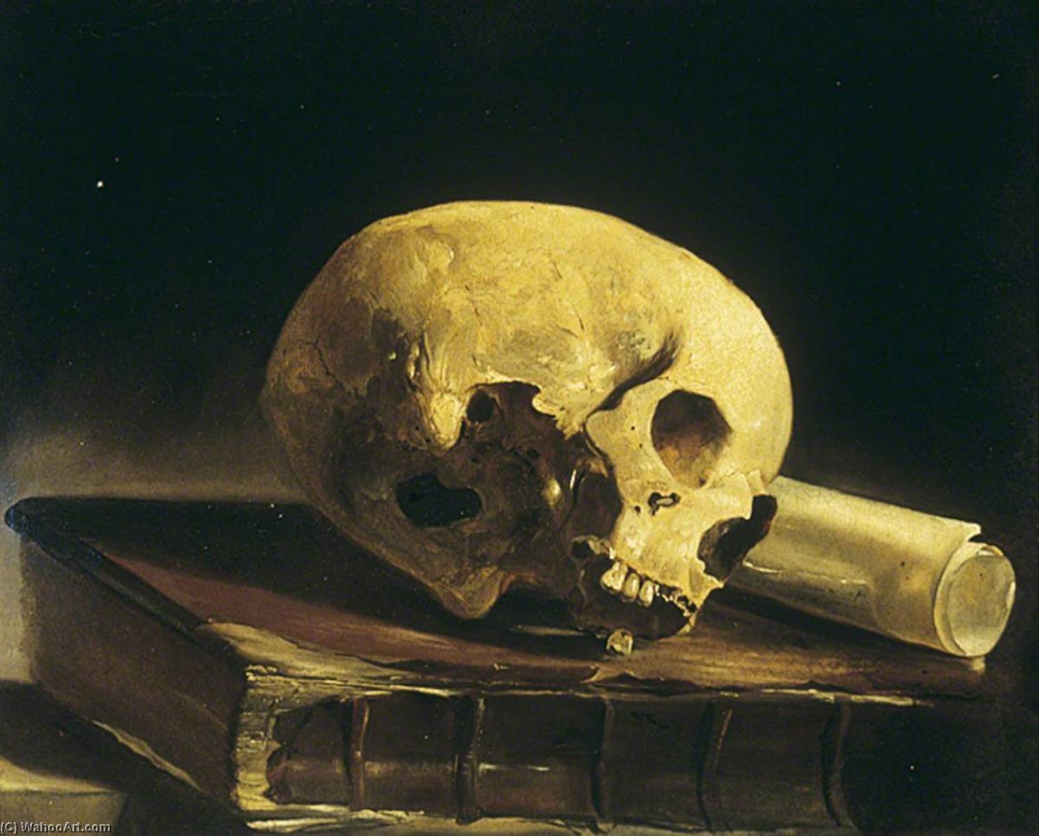 Wikioo.org - The Encyclopedia of Fine Arts - Painting, Artwork by John N Rhodes - Study of a Skull, a Book and a Scroll of Paper