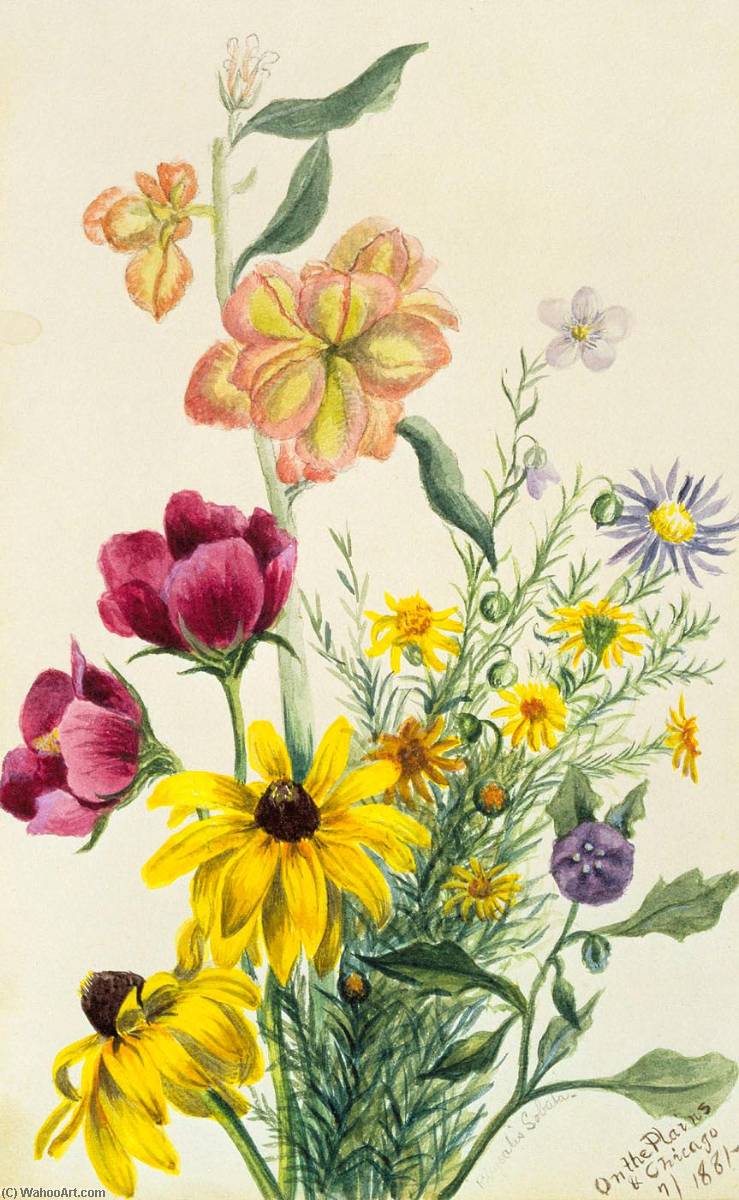 Wikioo.org - The Encyclopedia of Fine Arts - Painting, Artwork by Mary Morris Vaux Walcott - Group of Flowers