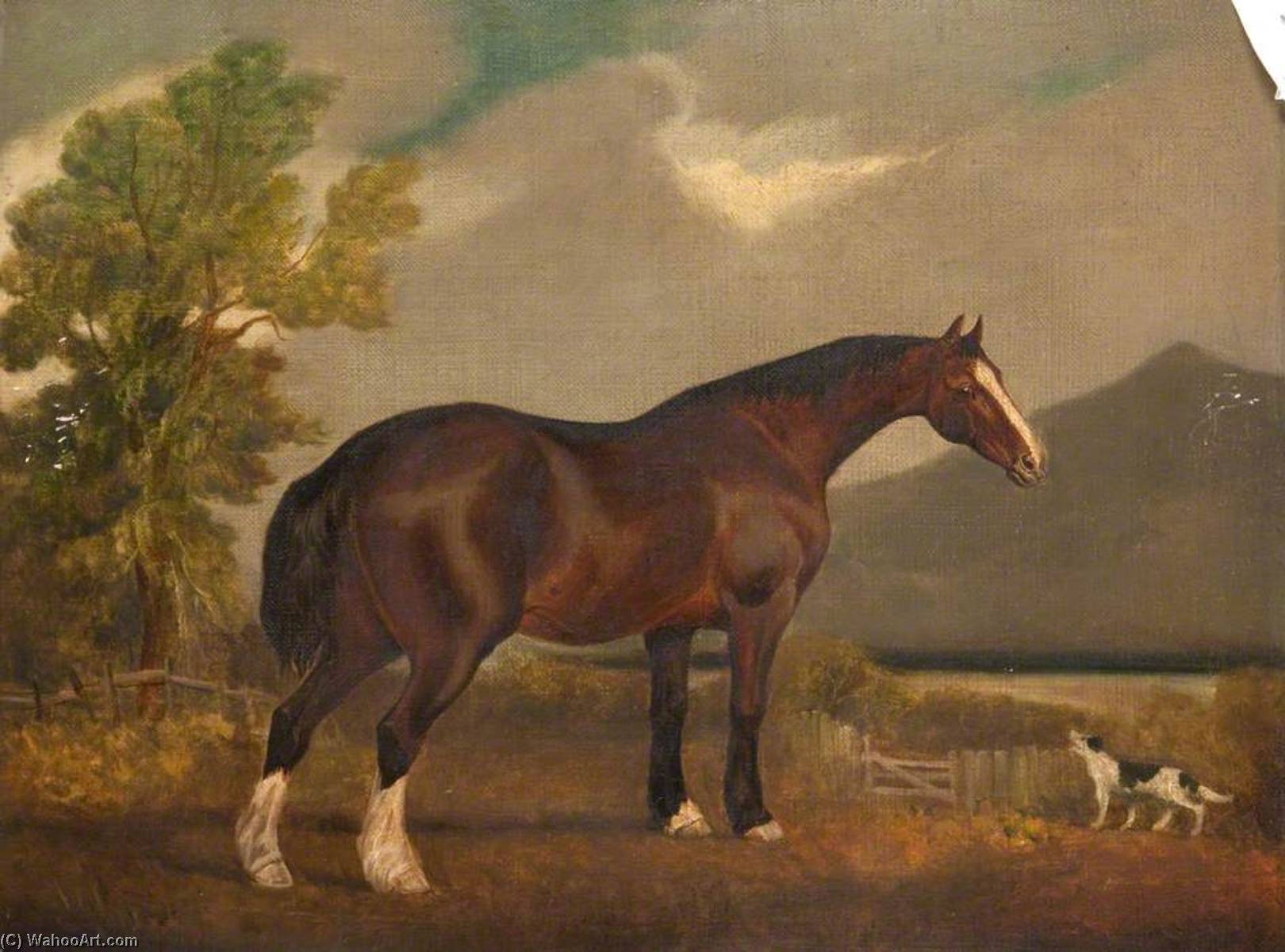 Wikioo.org - The Encyclopedia of Fine Arts - Painting, Artwork by James Howe - Horse and Dog