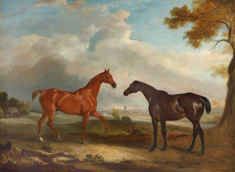 Wikioo.org - The Encyclopedia of Fine Arts - Painting, Artwork by John Ferneley Ii - Two Racehorses, Called 'Cock Robin' and 'Langar'