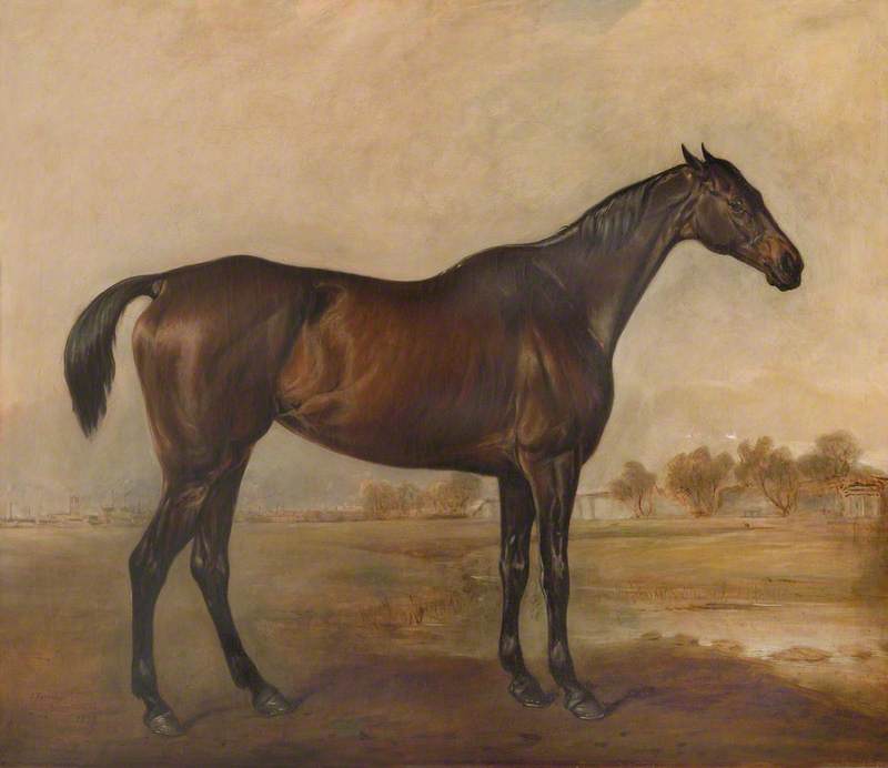 Wikioo.org - The Encyclopedia of Fine Arts - Painting, Artwork by John Ferneley Ii - A Bay Racehorse Called 'Nightmare'
