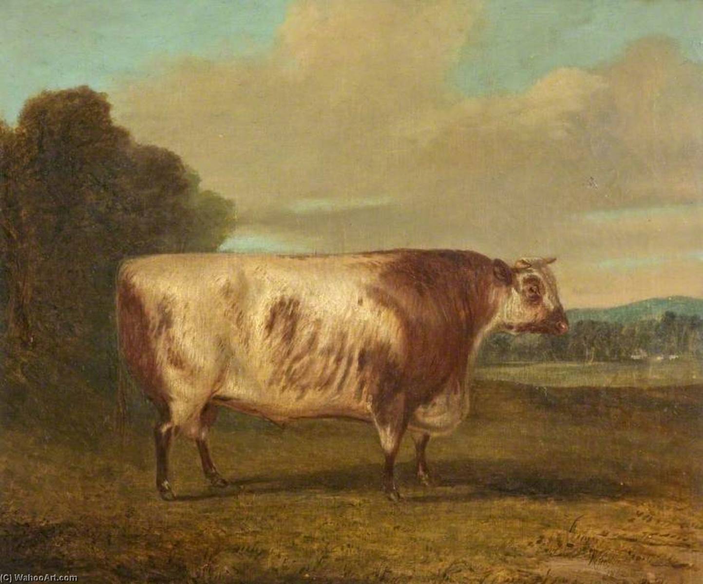 Wikioo.org - The Encyclopedia of Fine Arts - Painting, Artwork by Richard Whitford - A Bull
