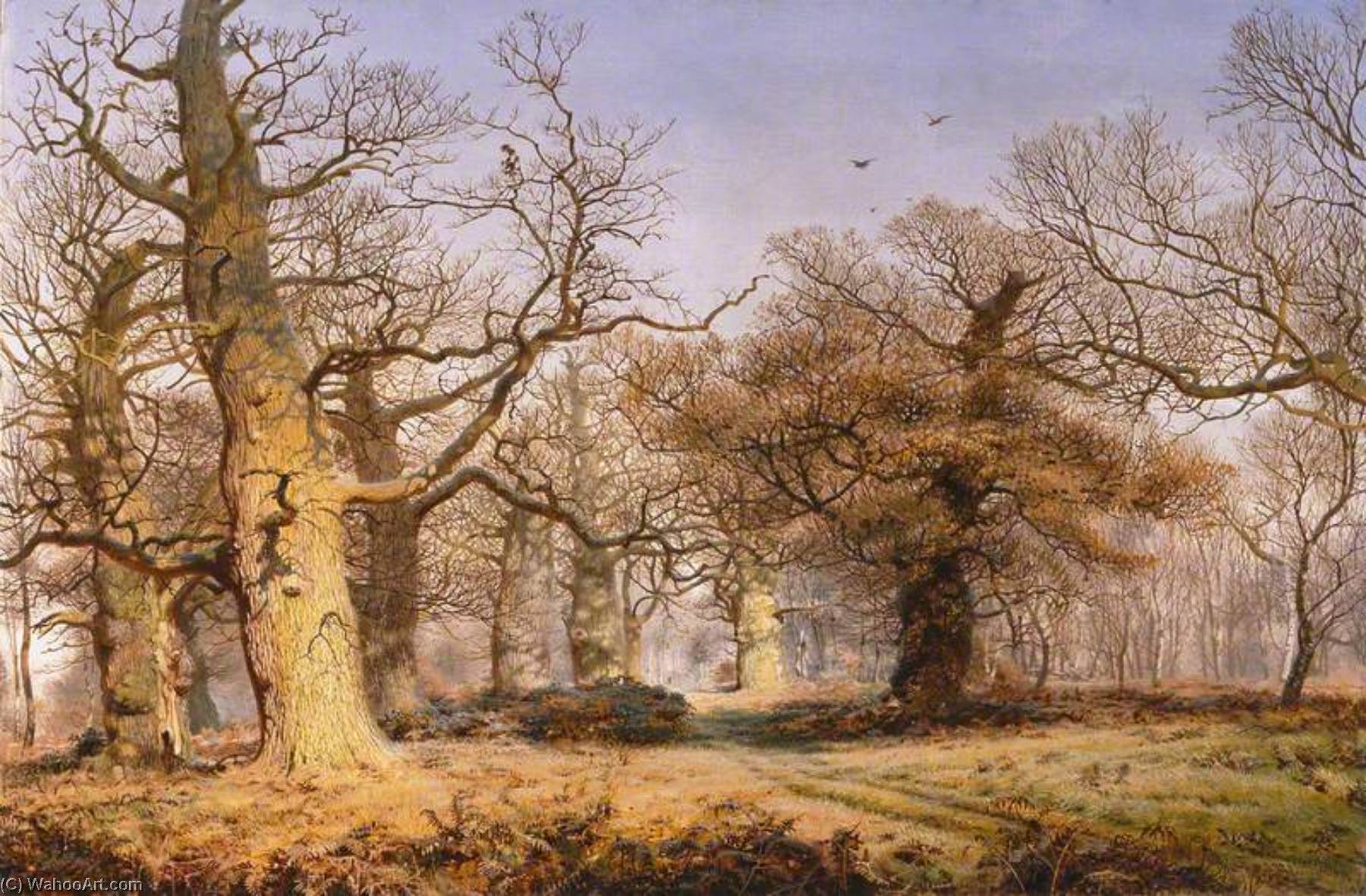 Wikioo.org – L'Encyclopédie des Beaux Arts - Peinture, Oeuvre de Andrew Mccallum - chênes dans sherwood Forêt