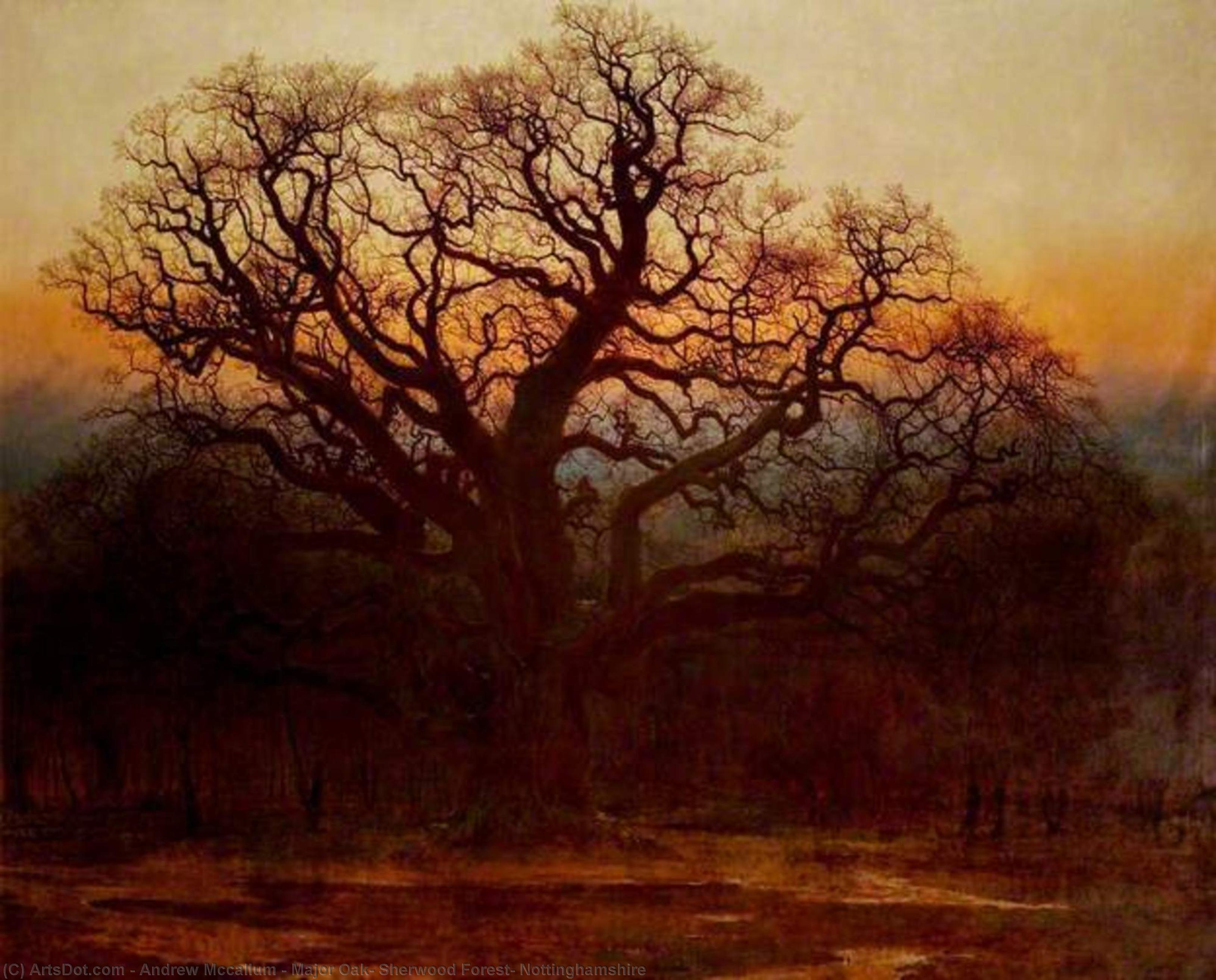 Wikioo.org - The Encyclopedia of Fine Arts - Painting, Artwork by Andrew Mccallum - Major Oak, Sherwood Forest, Nottinghamshire