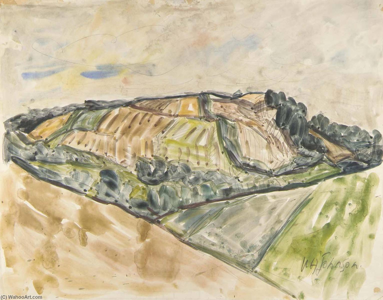 WikiOO.org - Encyclopedia of Fine Arts - Lukisan, Artwork William Henry Johnson - Kerteminde Landscape Hillside with Fields and Trees