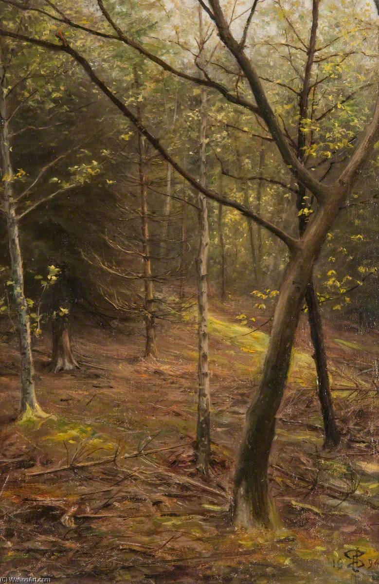 Wikioo.org - The Encyclopedia of Fine Arts - Painting, Artwork by John Stewart - In a Wood in May