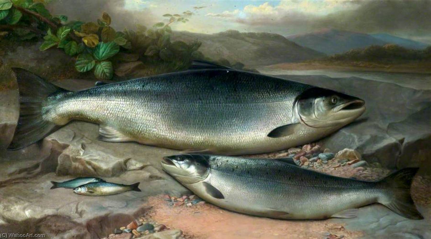 Wikioo.org - The Encyclopedia of Fine Arts - Painting, Artwork by John Bucknell Russell - Salmon
