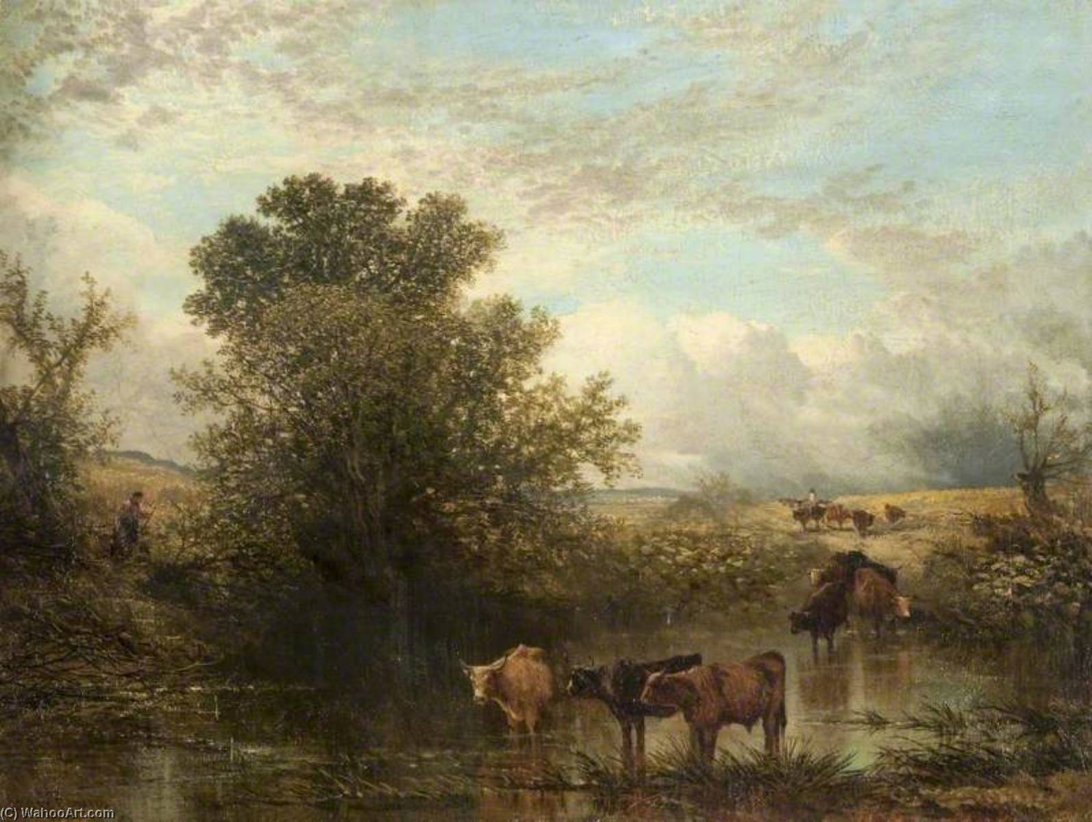 Wikioo.org - The Encyclopedia of Fine Arts - Painting, Artwork by John Milne Donald - Cattle in a Pool