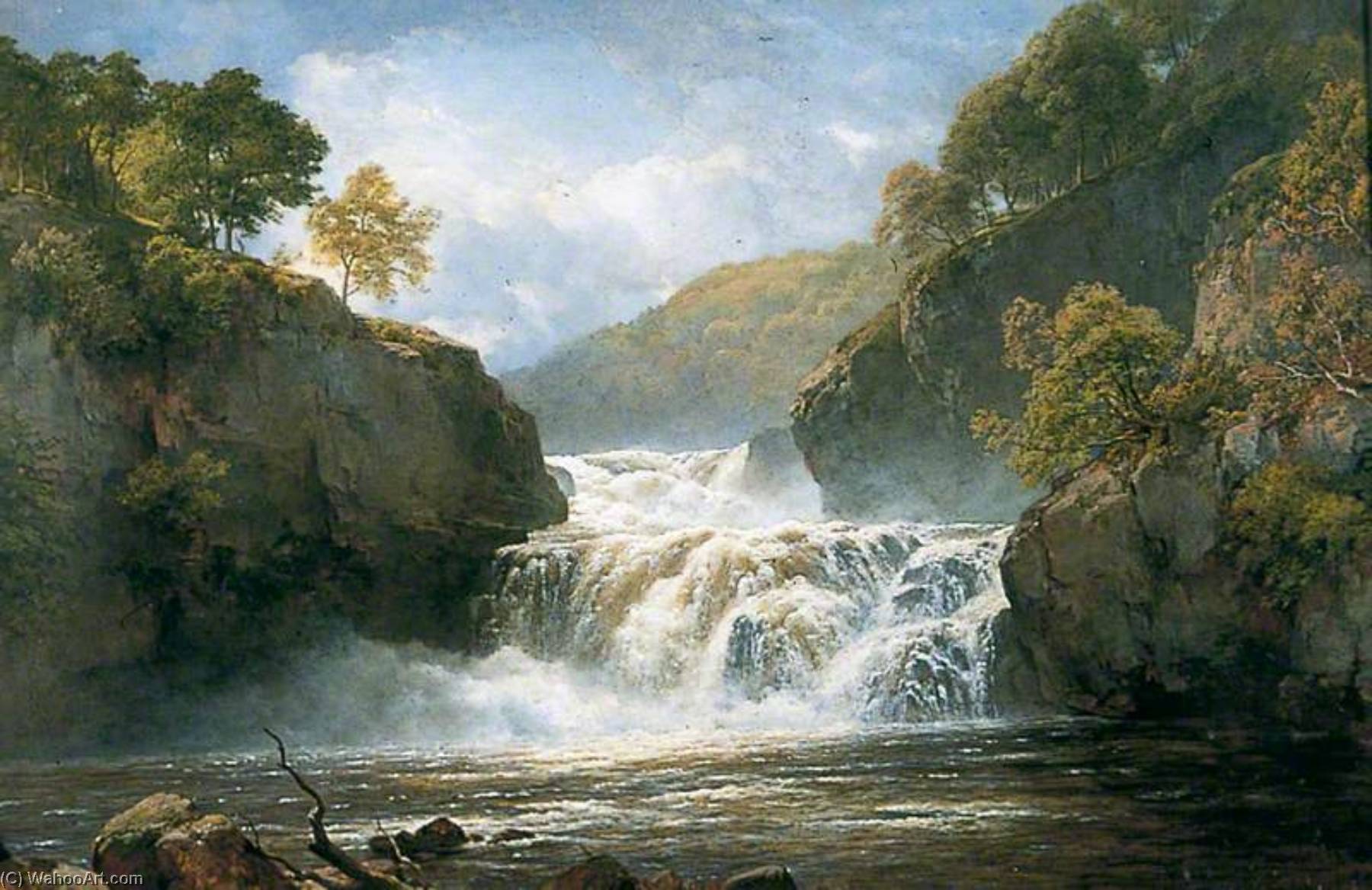 Wikioo.org - The Encyclopedia of Fine Arts - Painting, Artwork by Edmund Marriner Gill - Falls in the River Clyde, Corry Lynn
