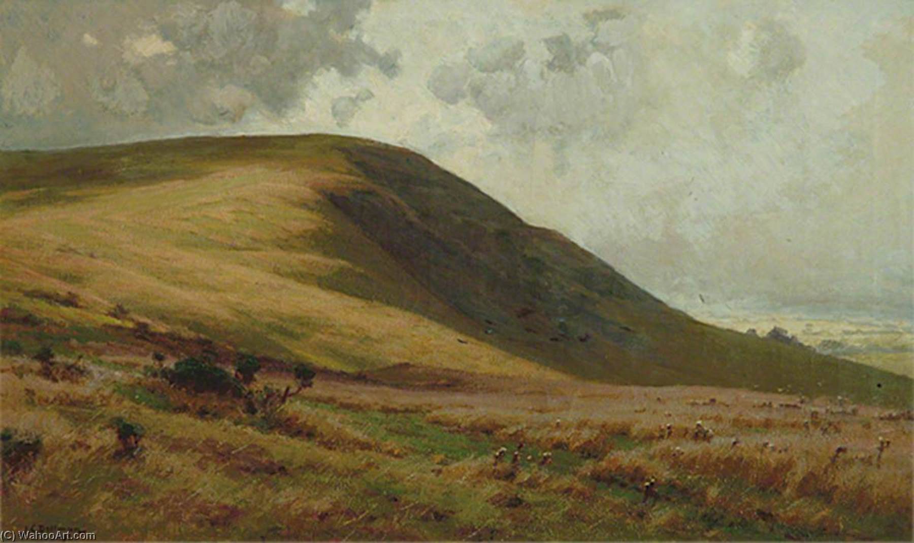 Wikioo.org - The Encyclopedia of Fine Arts - Painting, Artwork by John Charles Dollman - Ditchling Beacon