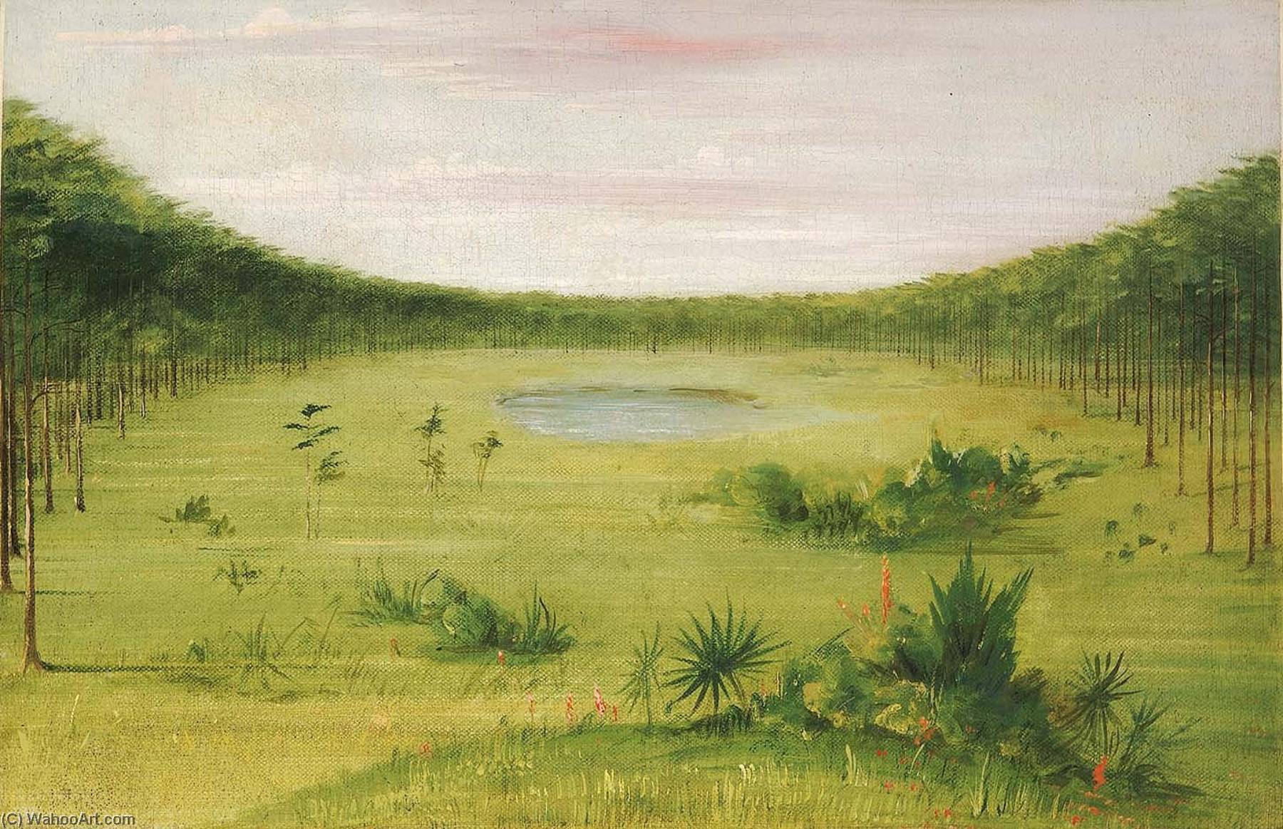 Wikioo.org - The Encyclopedia of Fine Arts - Painting, Artwork by George Catlin - Beautiful Savannah in the Pine Woods of Florida