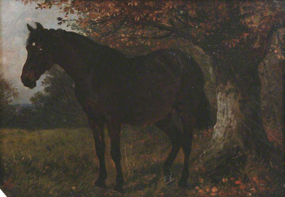 Wikioo.org - The Encyclopedia of Fine Arts - Painting, Artwork by William Edward Millner - Brown Horse