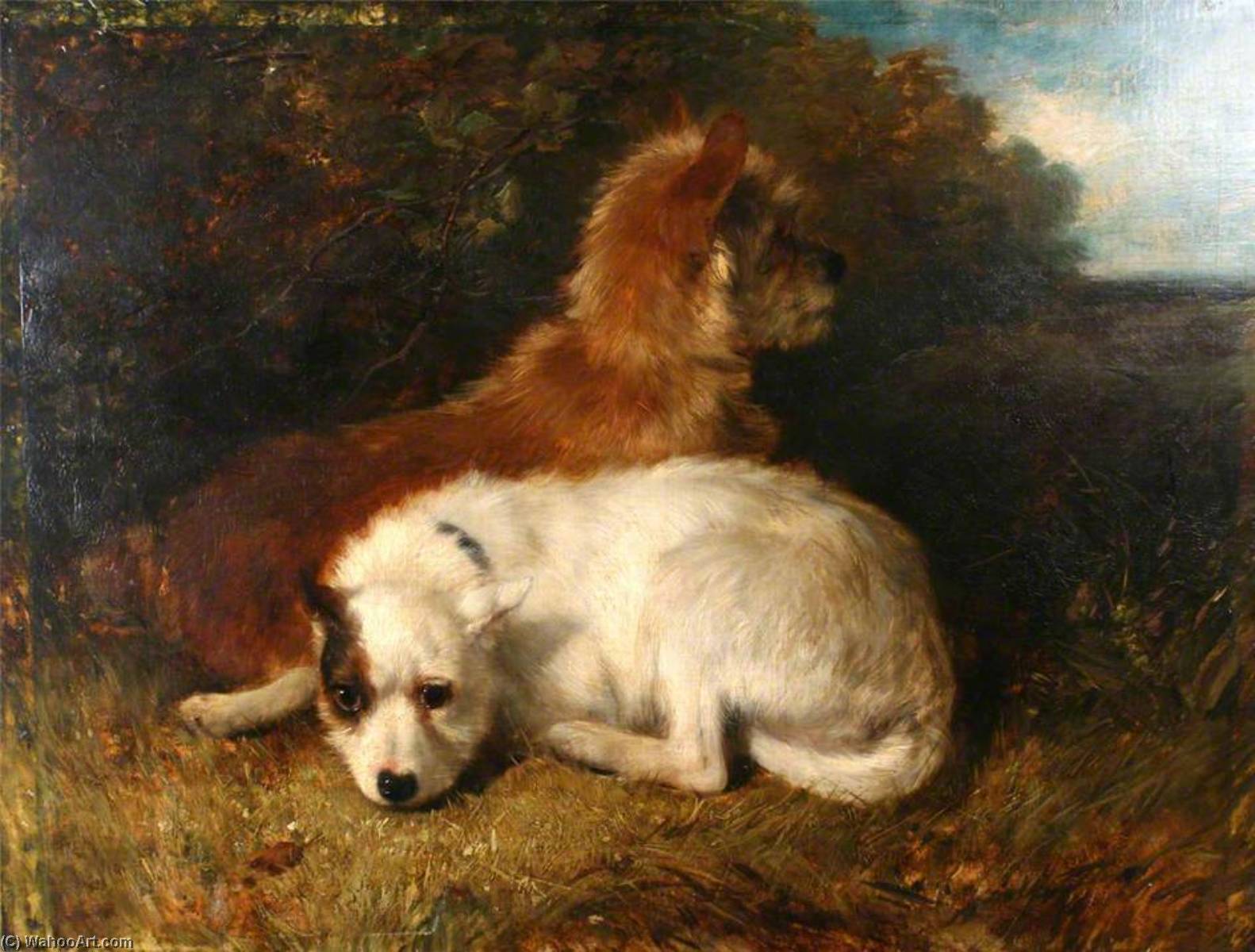 Wikioo.org - The Encyclopedia of Fine Arts - Painting, Artwork by William Edward Millner - Two Dogs