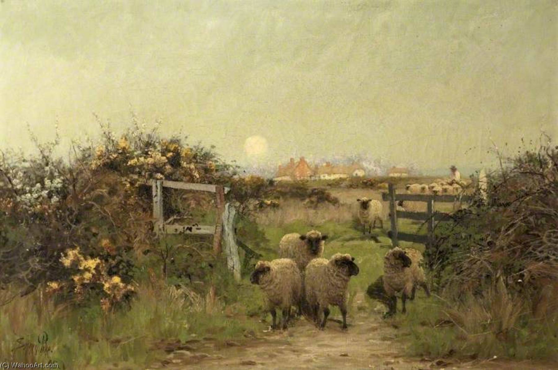 Wikioo.org - The Encyclopedia of Fine Arts - Painting, Artwork by Sidney Pike - Sheep in a Meadow