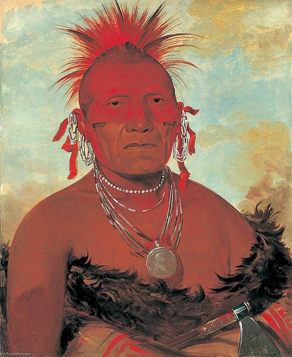 Wikioo.org - The Encyclopedia of Fine Arts - Painting, Artwork by George Catlin - Shón ka ki he ga, Horse Chief, Grand Pawnee Head Chief