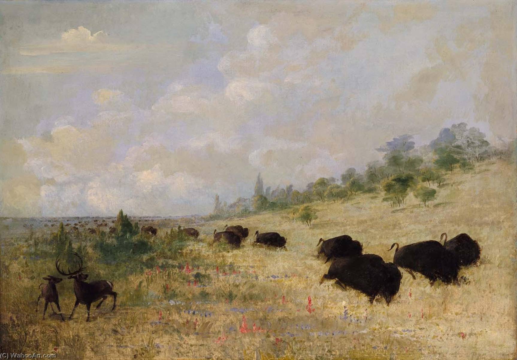 Wikioo.org - The Encyclopedia of Fine Arts - Painting, Artwork by George Catlin - Elk and Buffalo Grazing among Prairie Flowers, Texas