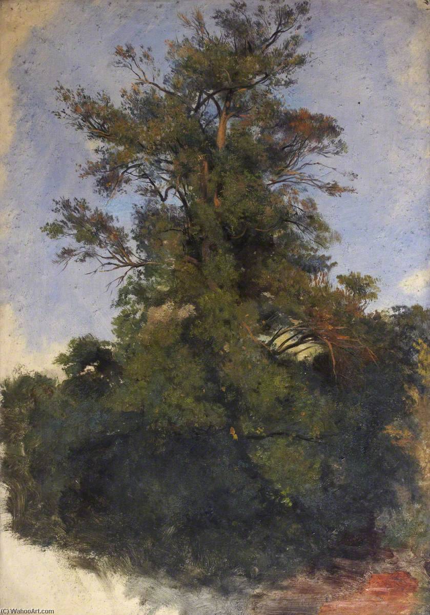 Wikioo.org - The Encyclopedia of Fine Arts - Painting, Artwork by Thomas Stuart Smith - Tree at the Water's Edge