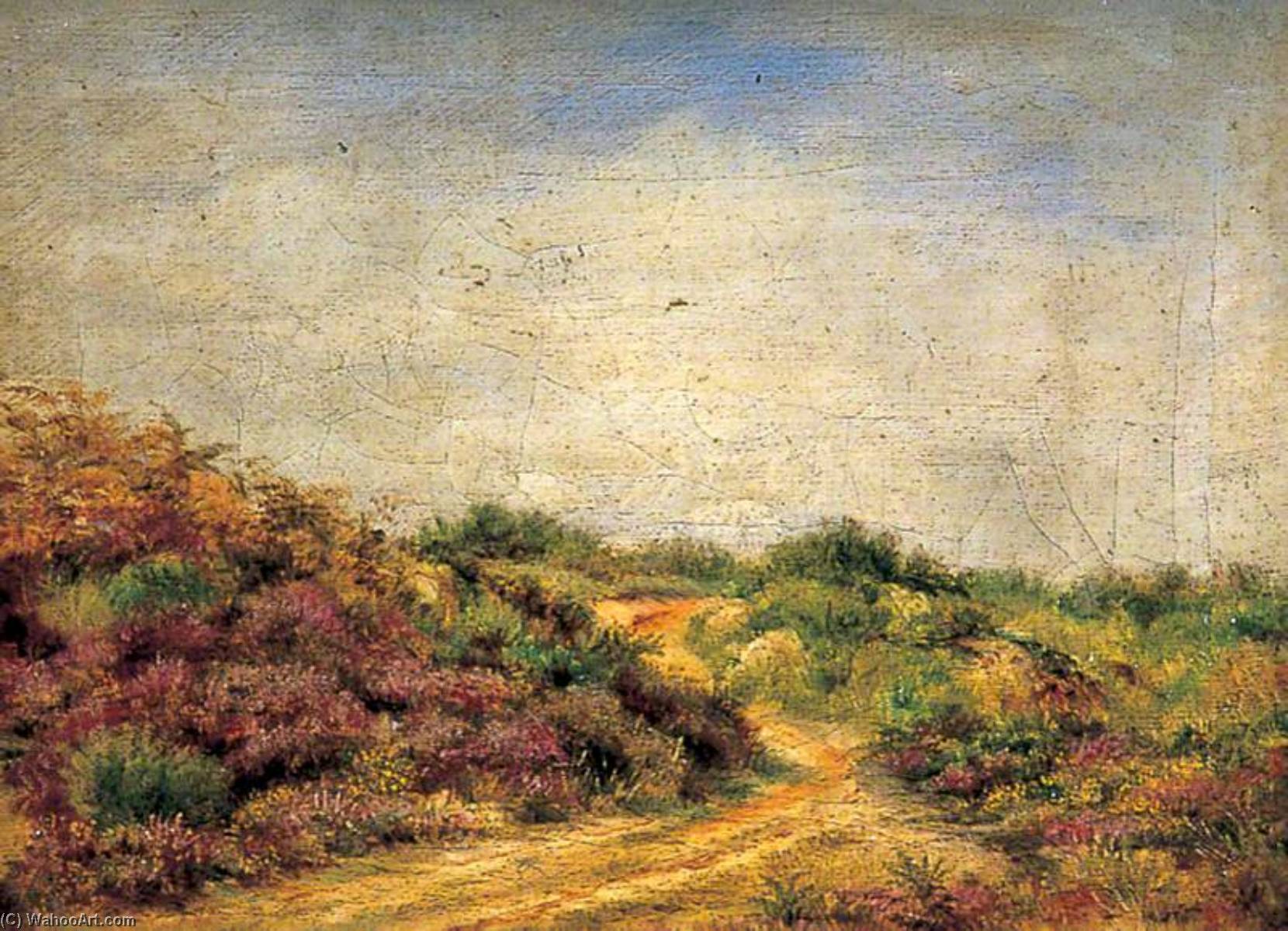Wikioo.org - The Encyclopedia of Fine Arts - Painting, Artwork by Clement T Youens - Gravel Path, Dartford Heath, Kent