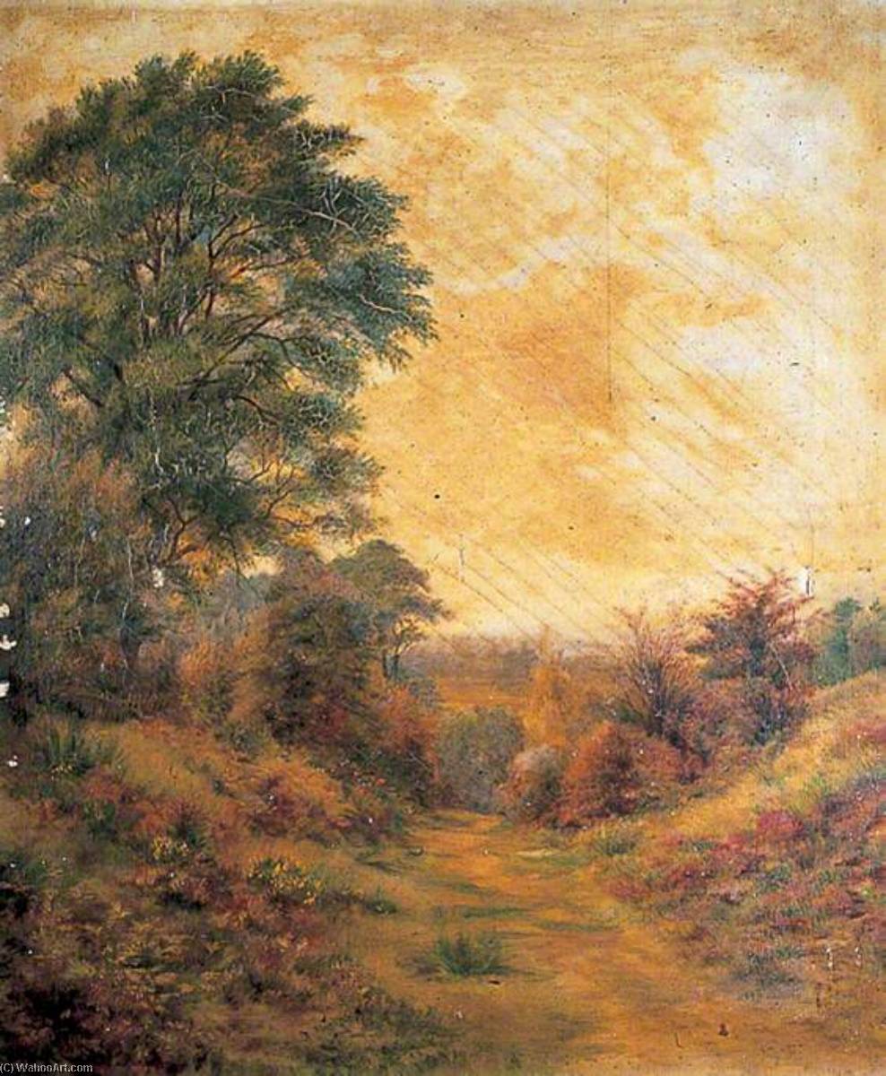 Wikioo.org - The Encyclopedia of Fine Arts - Painting, Artwork by Clement T Youens - Dartford Heath, Kent