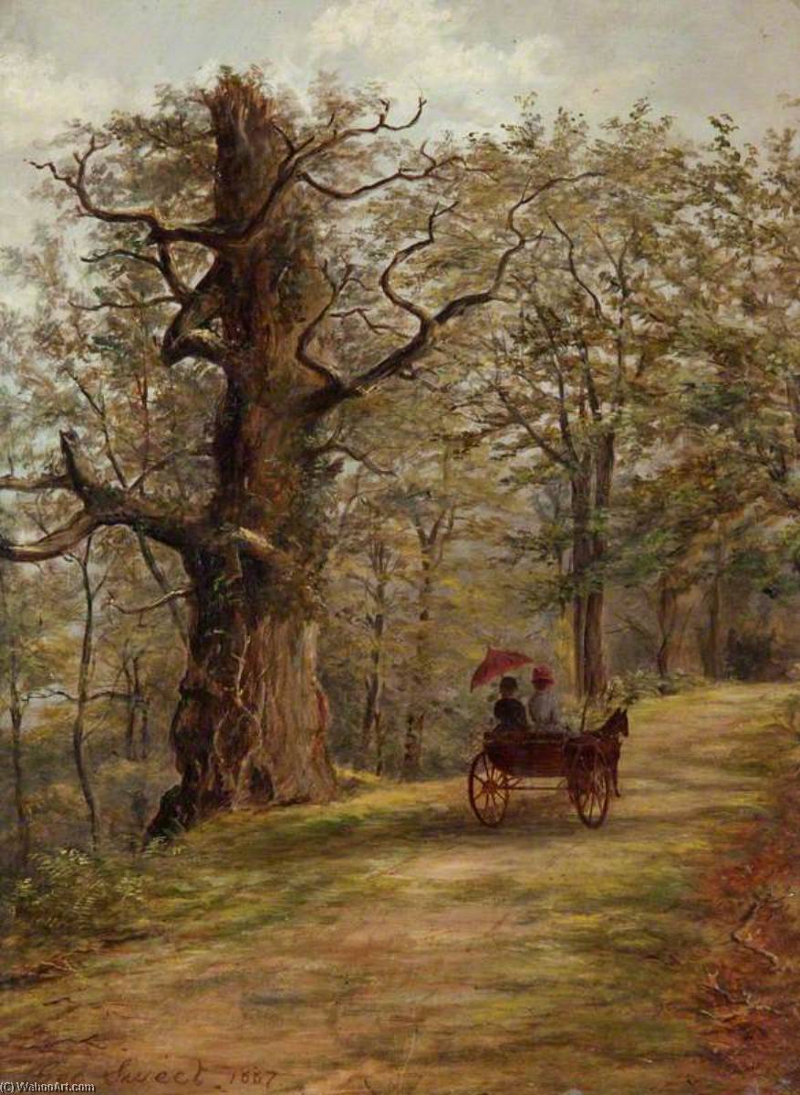 Wikioo.org - The Encyclopedia of Fine Arts - Painting, Artwork by George Sweet - The Watch Tree, Cadzow Forest
