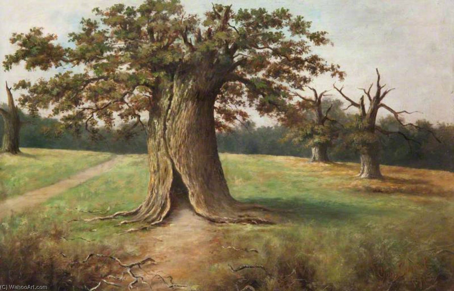 Wikioo.org - The Encyclopedia of Fine Arts - Painting, Artwork by George Sweet - Boss Oak, Cadzow Forest