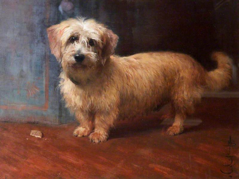 Wikioo.org - The Encyclopedia of Fine Arts - Painting, Artwork by Nathaniel Hughes John Baird - A Dandy Dinmont, Called ‘Scotty’, Monty Miller’s Dog