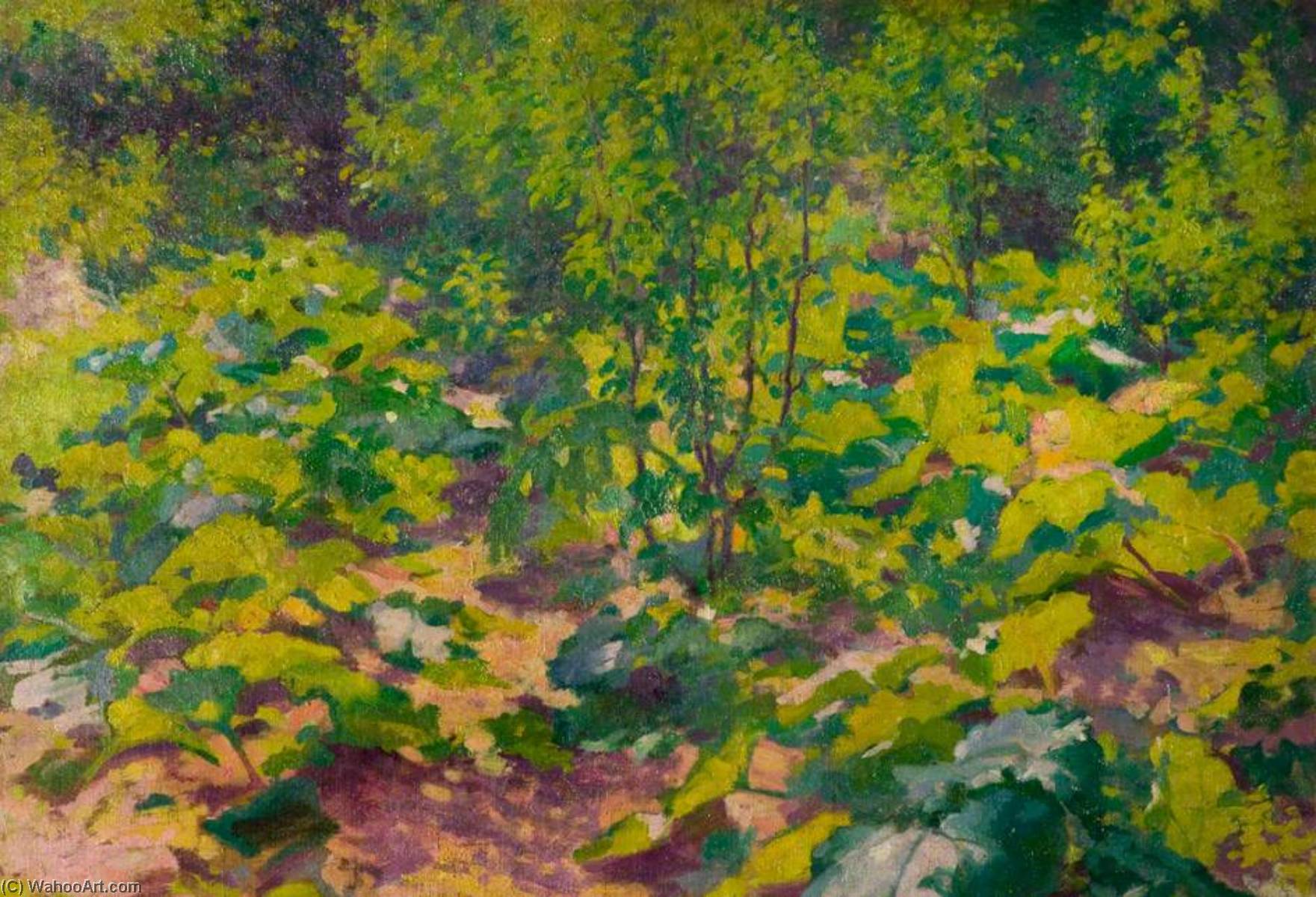 Wikioo.org - The Encyclopedia of Fine Arts - Painting, Artwork by William Tom Warrener - Undergrowth