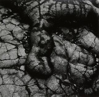 Wikioo.org - The Encyclopedia of Fine Arts - Painting, Artwork by Aaron Siskind - Volcano 80