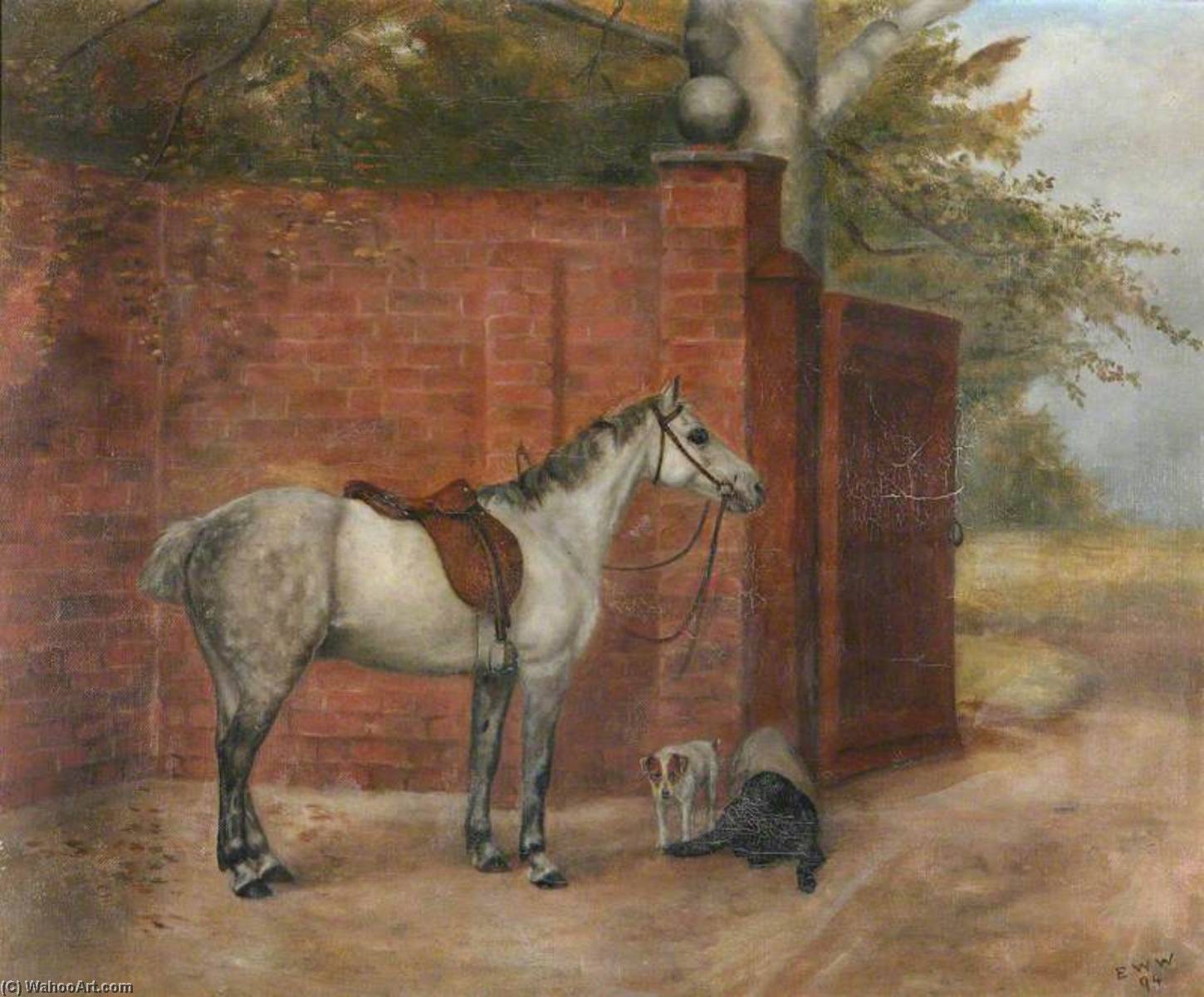 Wikioo.org - The Encyclopedia of Fine Arts - Painting, Artwork by Evelyn Blacklock - A Dapple Grey Horse with Dogs beside a Wall