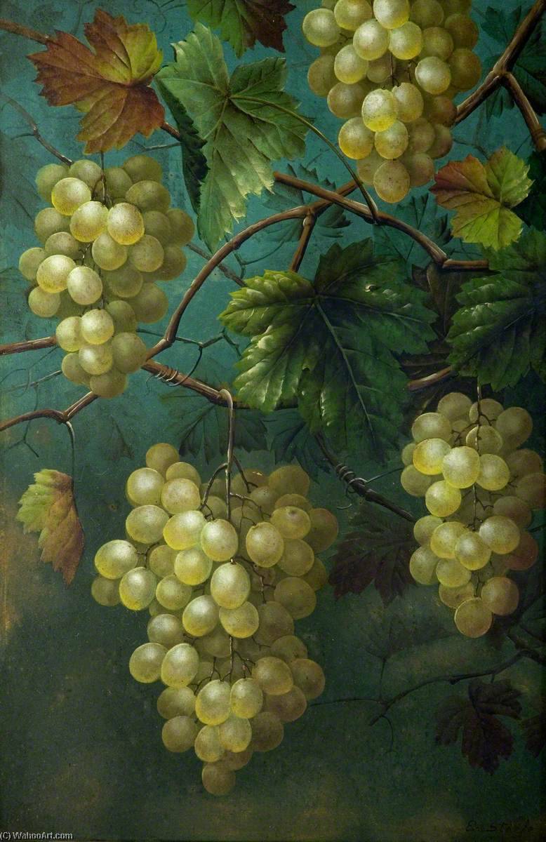 Wikioo.org - The Encyclopedia of Fine Arts - Painting, Artwork by Edwin Steele - Still Life of Grapes and Vine