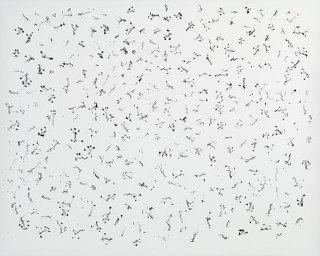 Wikioo.org - The Encyclopedia of Fine Arts - Painting, Artwork by Harry Callahan - Ivy Tentacles on Glass, Chicago