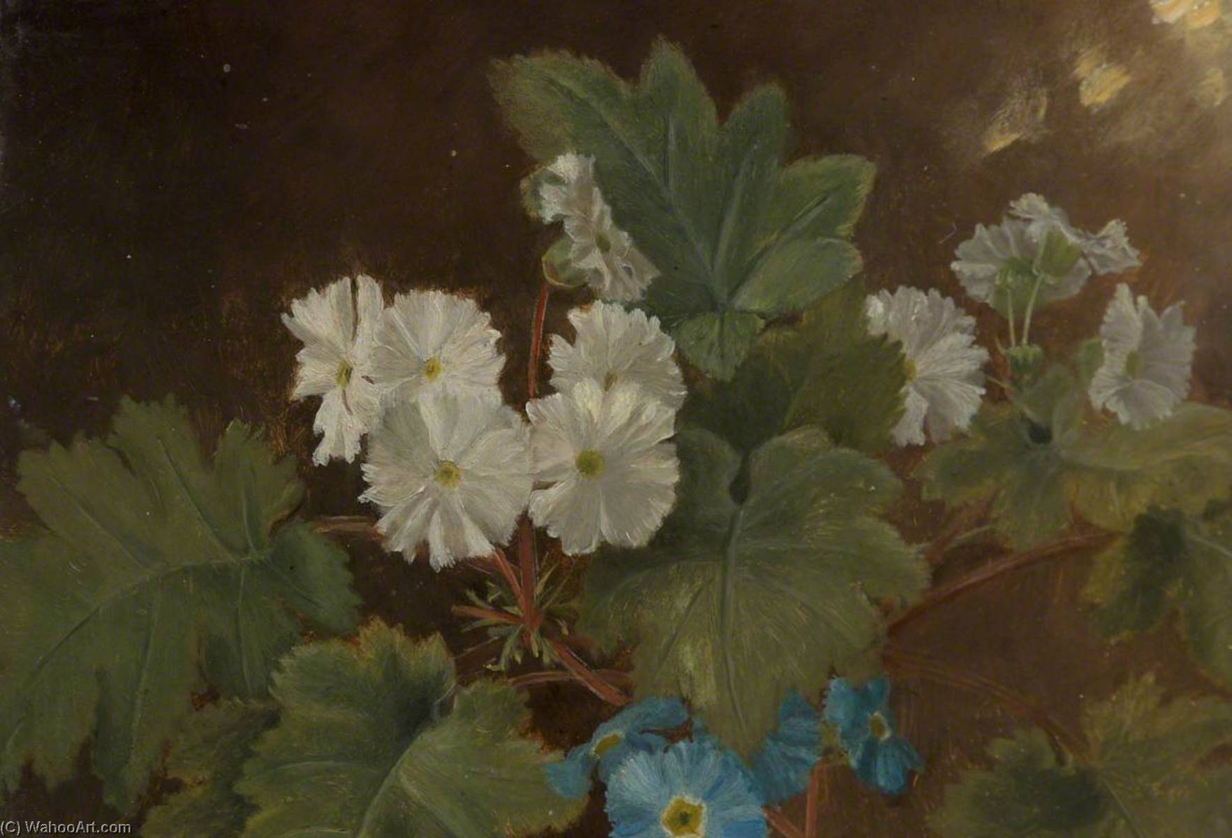 Wikioo.org - The Encyclopedia of Fine Arts - Painting, Artwork by Francis E Chardon - Study of Flowers