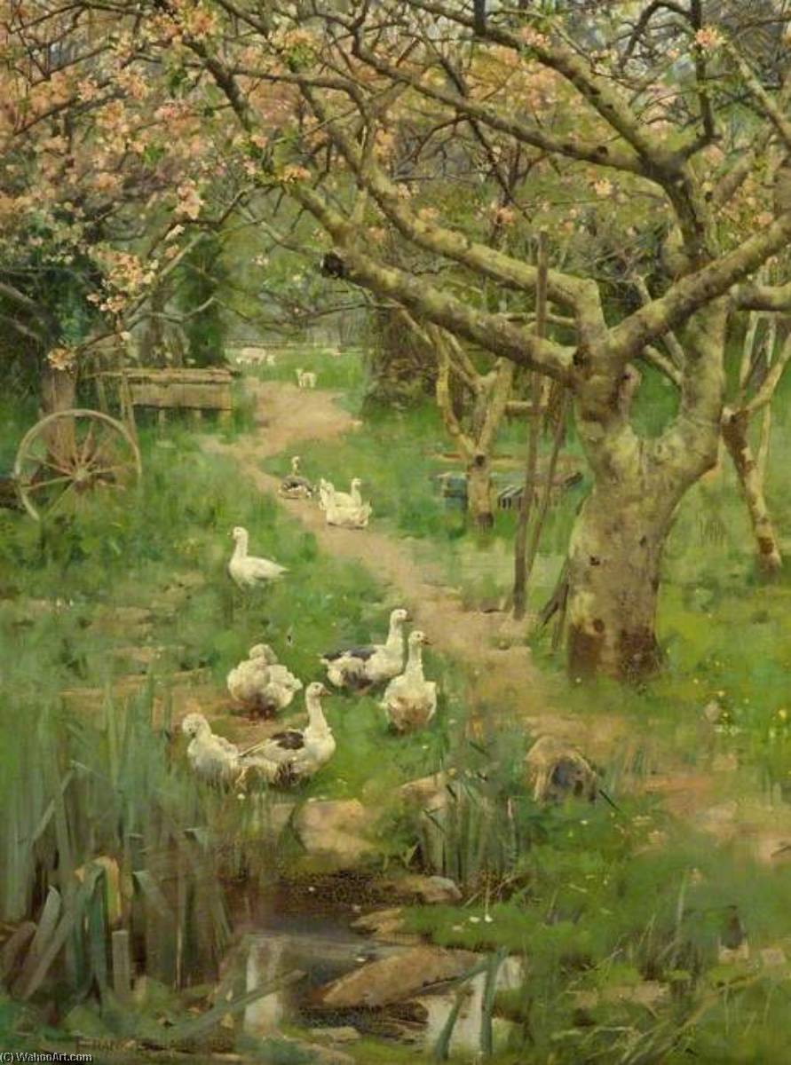 Wikioo.org - The Encyclopedia of Fine Arts - Painting, Artwork by Frank Richards - In a Cornish Orchard