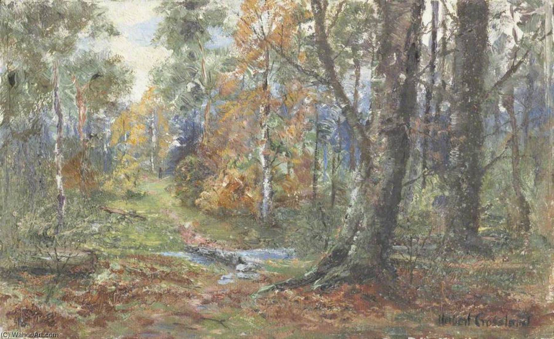 Wikioo.org - The Encyclopedia of Fine Arts - Painting, Artwork by James Henry Crossland - Woodland Scene