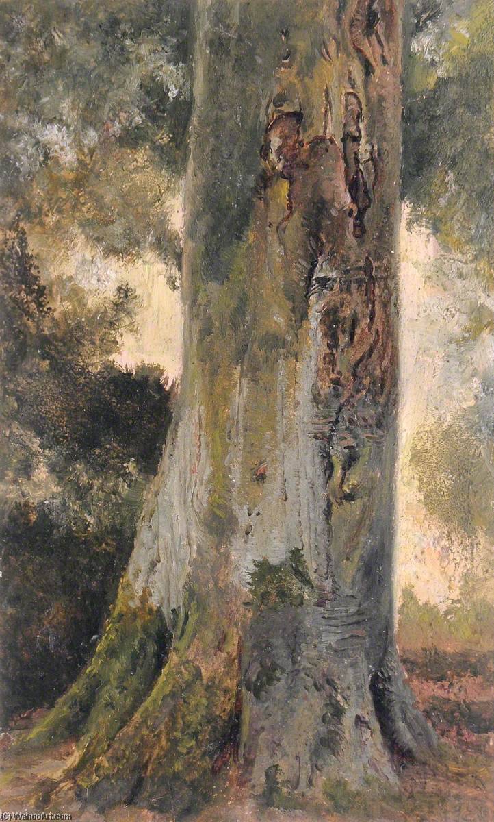 Wikioo.org - The Encyclopedia of Fine Arts - Painting, Artwork by Frederick William Hayes - Beech, Talysarn