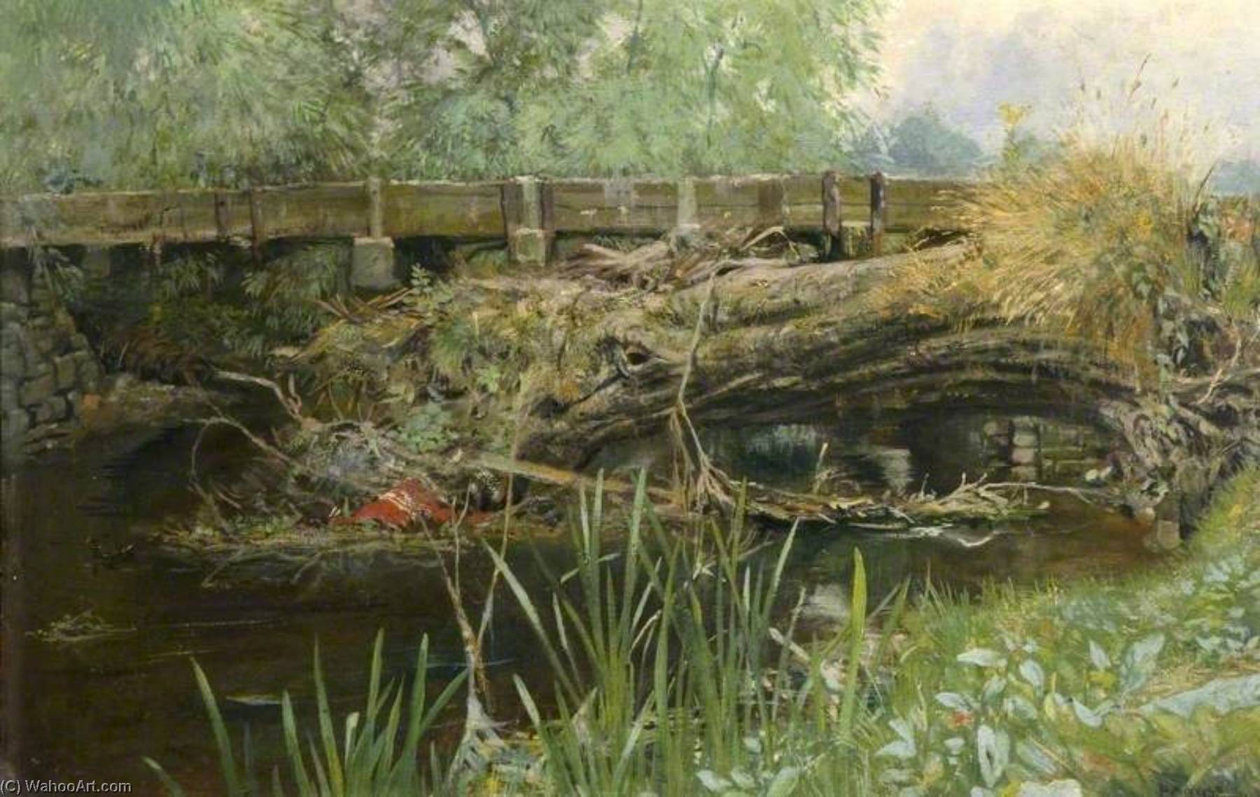 Wikioo.org - The Encyclopedia of Fine Arts - Painting, Artwork by Percival Arthur Wise - The Haunt of the Moorhen