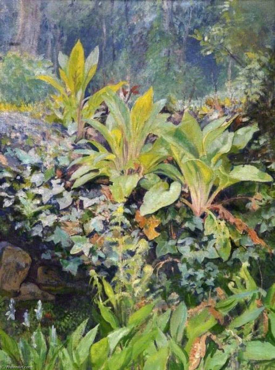 Wikioo.org - The Encyclopedia of Fine Arts - Painting, Artwork by Percival Arthur Wise - Young Foxgloves