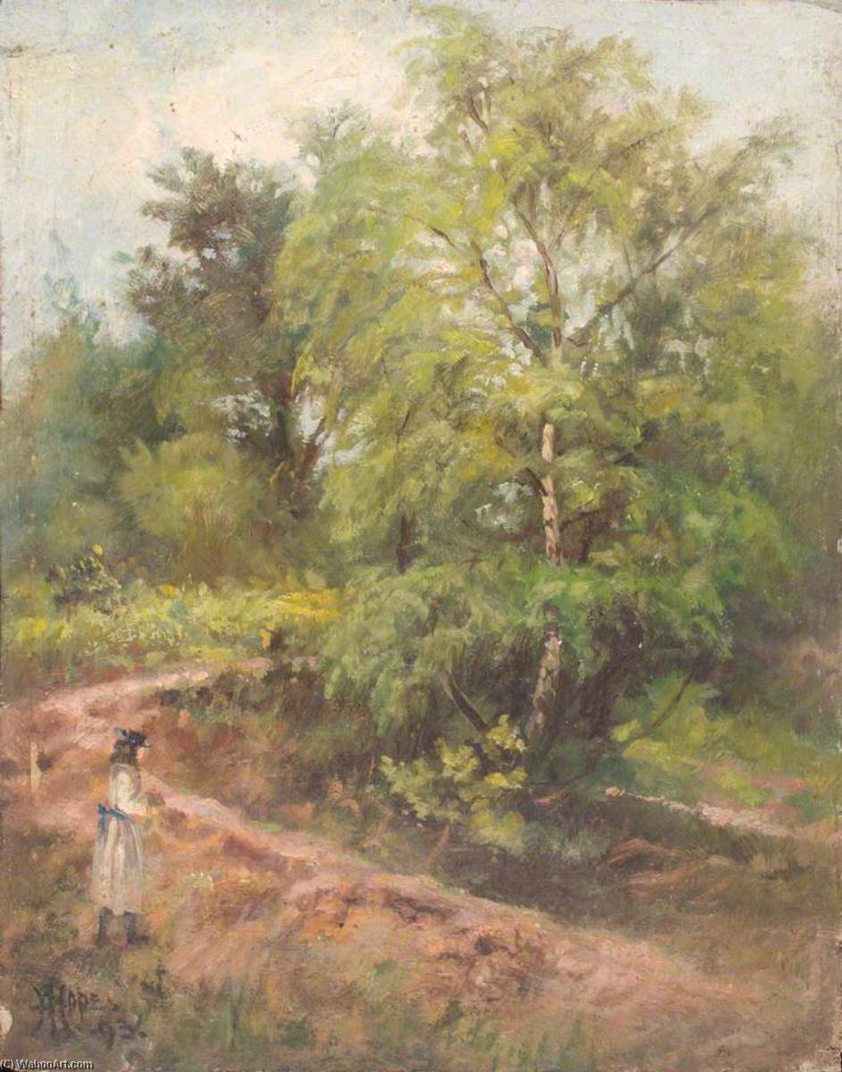 Wikioo.org - The Encyclopedia of Fine Arts - Painting, Artwork by William Henry Hope - Addington River