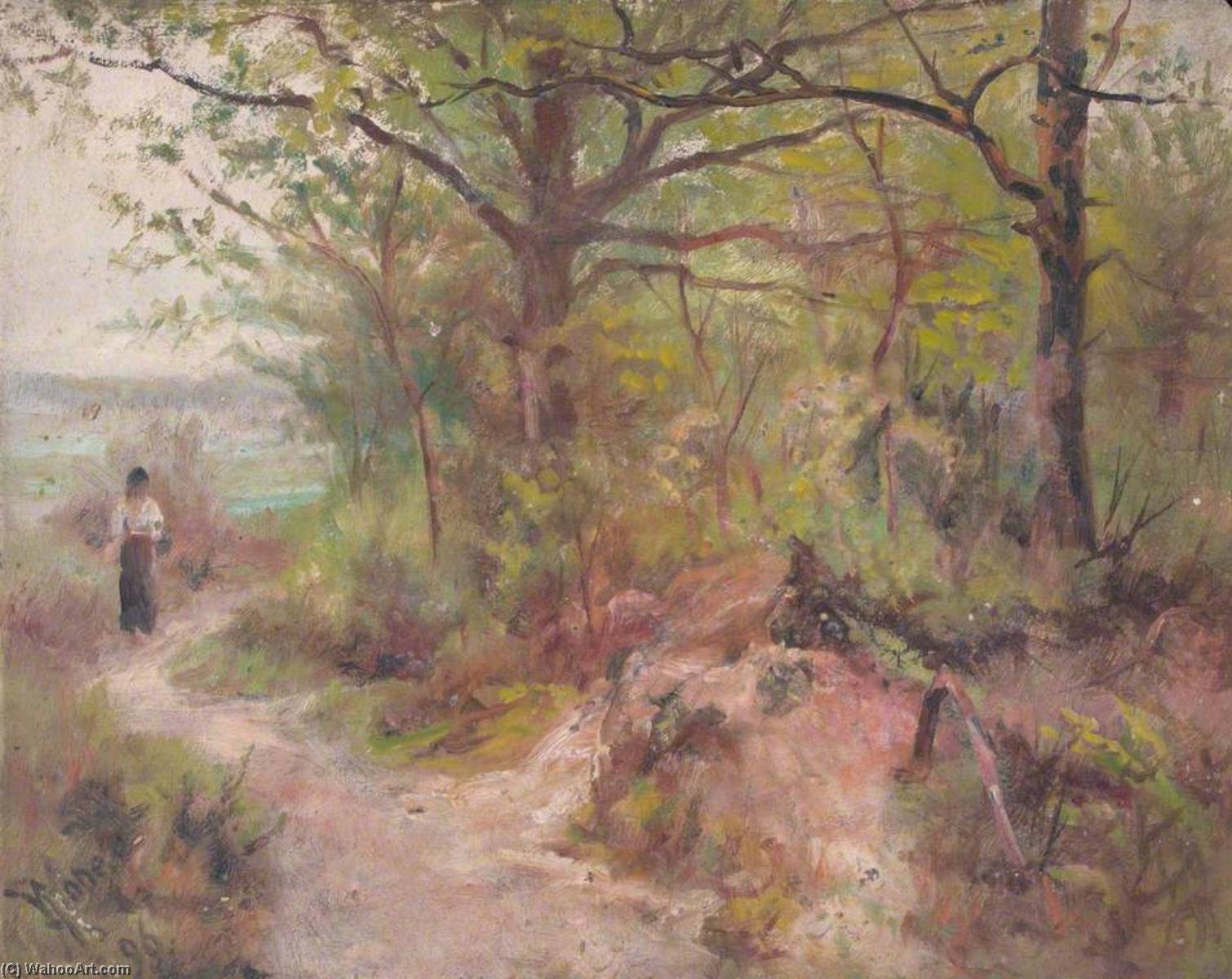 Wikioo.org - The Encyclopedia of Fine Arts - Painting, Artwork by William Henry Hope - At the Foot of Croham Hurst, Croydon, Surrey, North Side