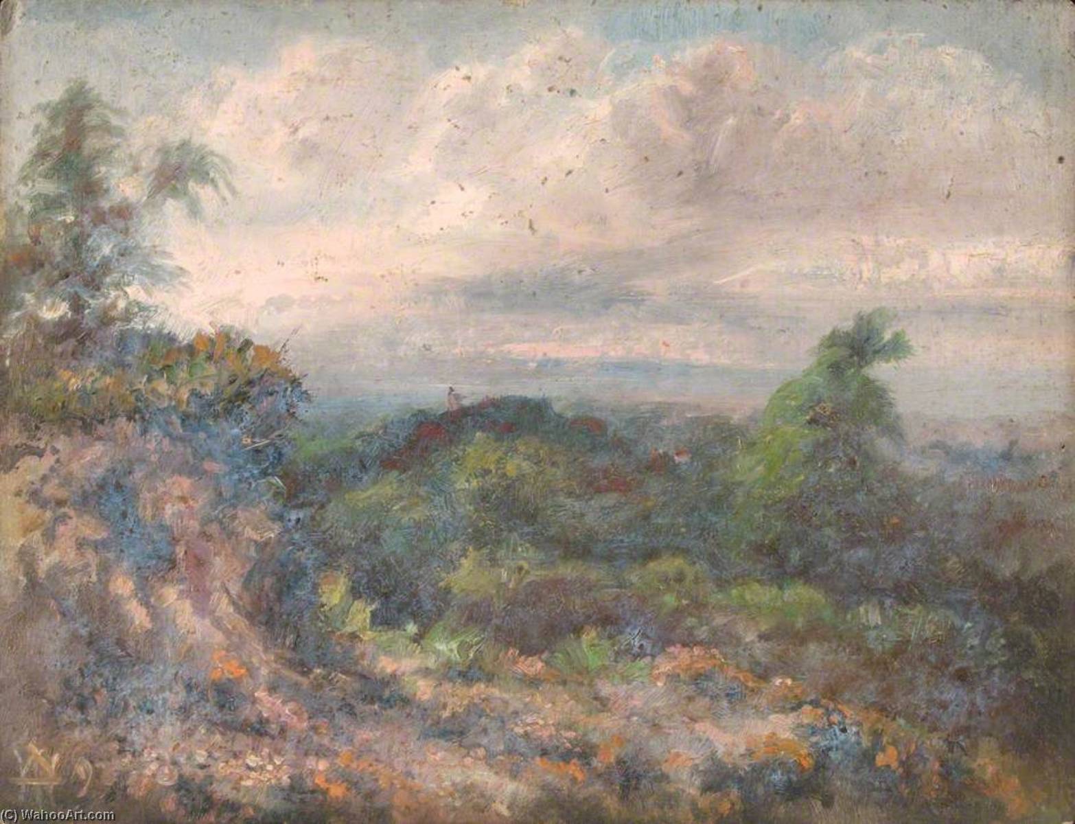 Wikioo.org - The Encyclopedia of Fine Arts - Painting, Artwork by William Henry Hope - Addington Hills, Croydon, Surrey, 22 June 1892
