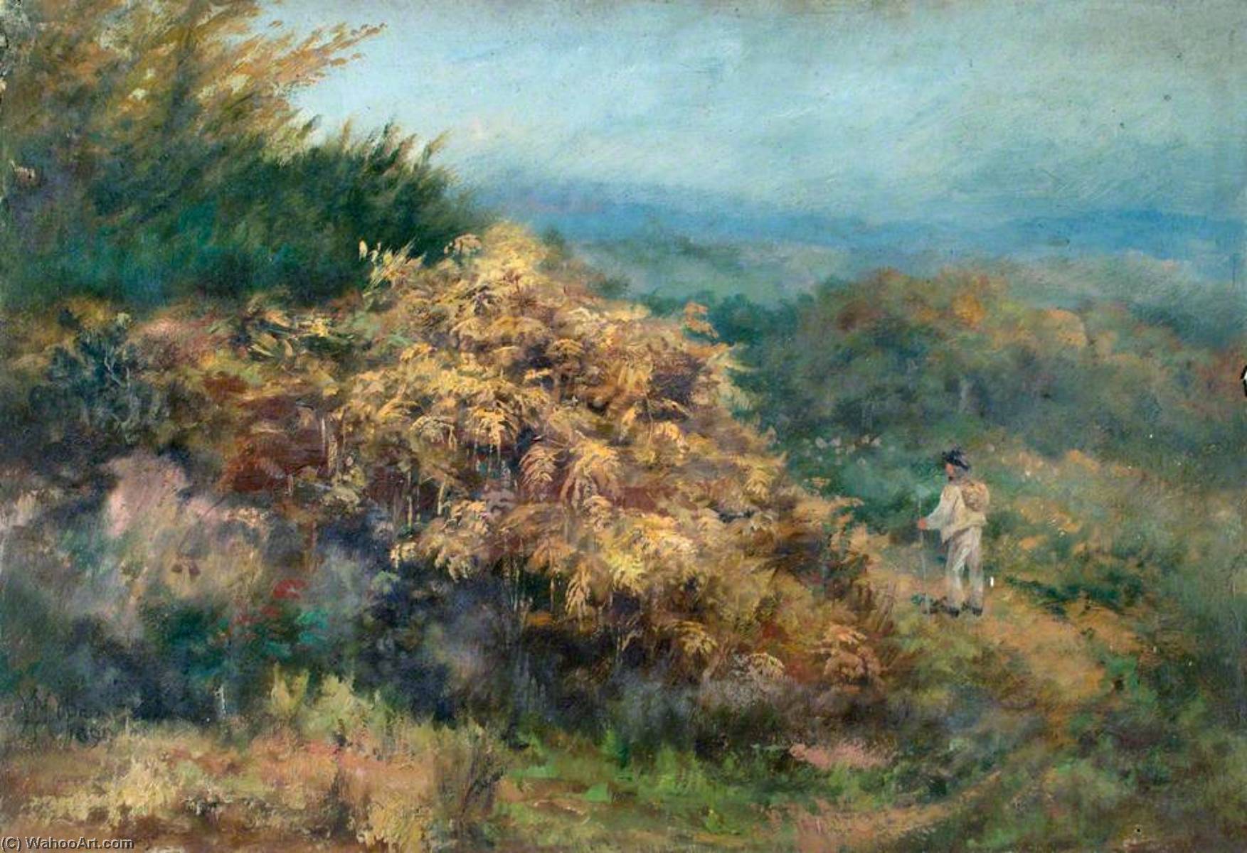 Wikioo.org - The Encyclopedia of Fine Arts - Painting, Artwork by William Henry Hope - At the Foot of Croham Hurst, Croydon, Surrey