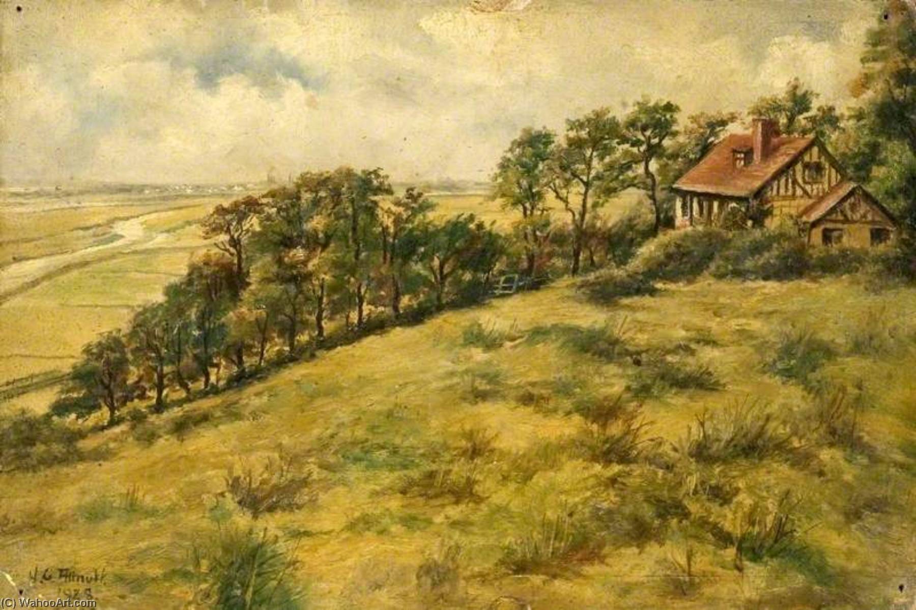 Wikioo.org - The Encyclopedia of Fine Arts - Painting, Artwork by Hubert George Allnutt - From Belton Hills Looking West