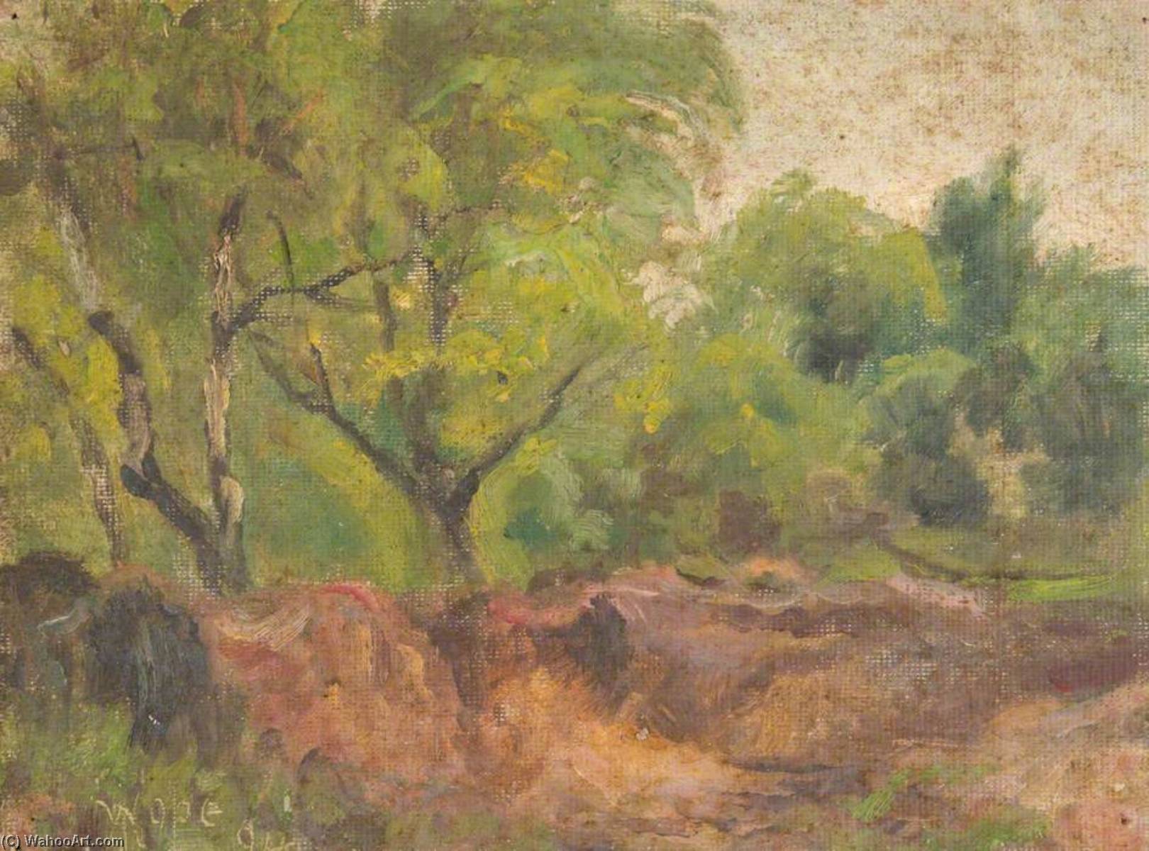 Wikioo.org - The Encyclopedia of Fine Arts - Painting, Artwork by William Henry Hope - At the Foot of Addington Hills, Croydon, Surrey