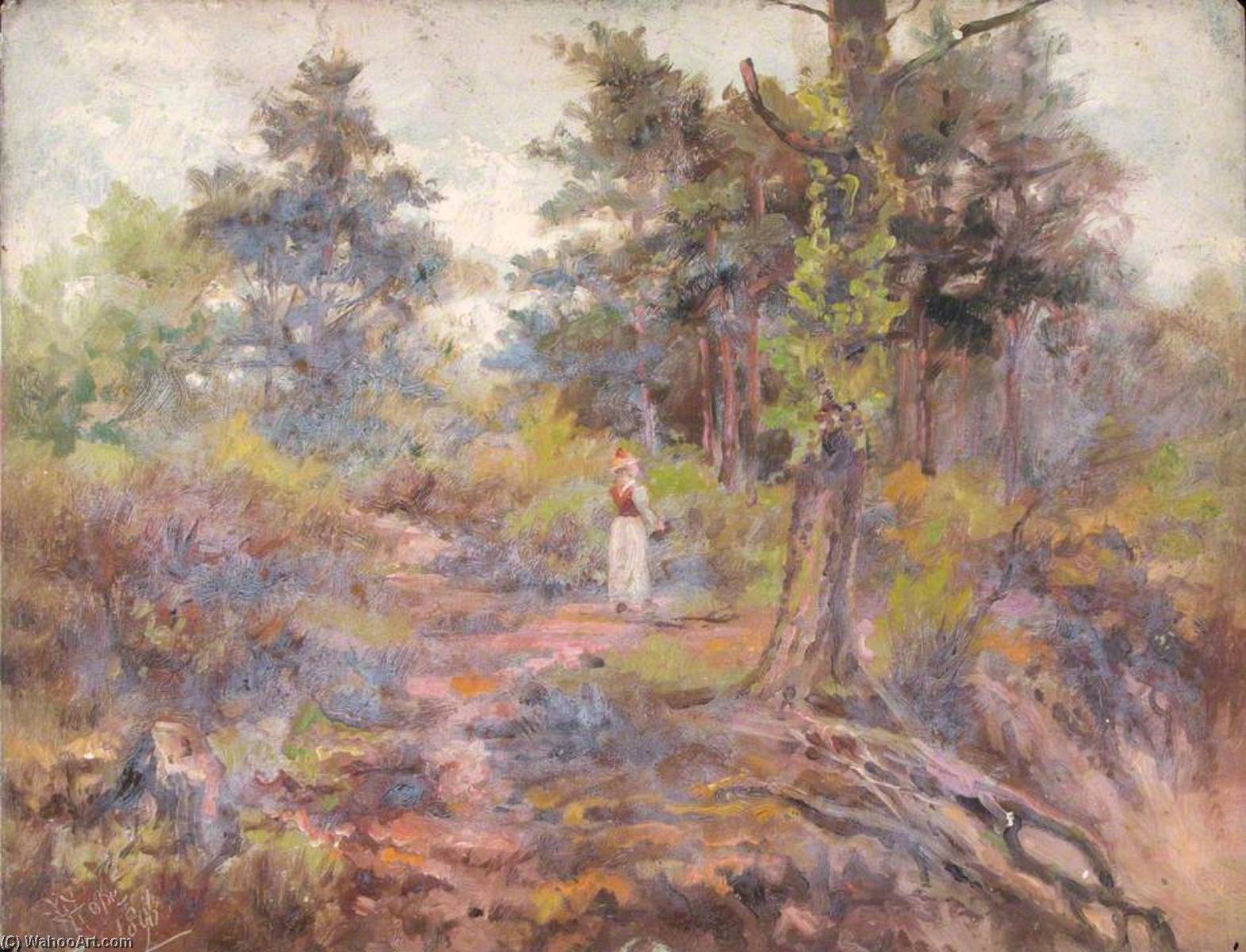 Wikioo.org - The Encyclopedia of Fine Arts - Painting, Artwork by William Henry Hope - Top of the Pit, Croham Hurst, Croydon, Surrey